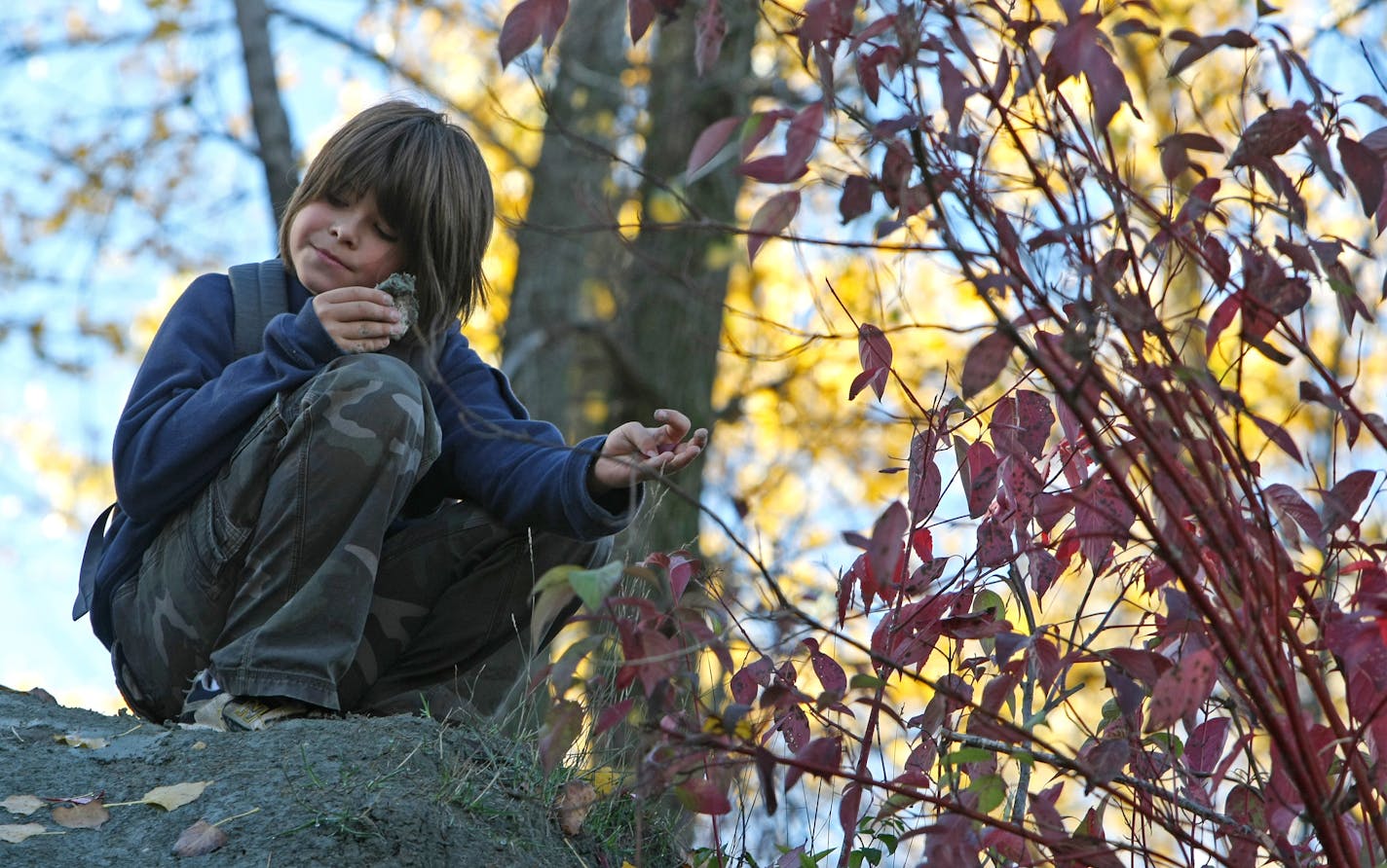 St. Paul Expo Elementary School student Henry Theis went high atop the clay pit to examine rocks for possible sea fossils.