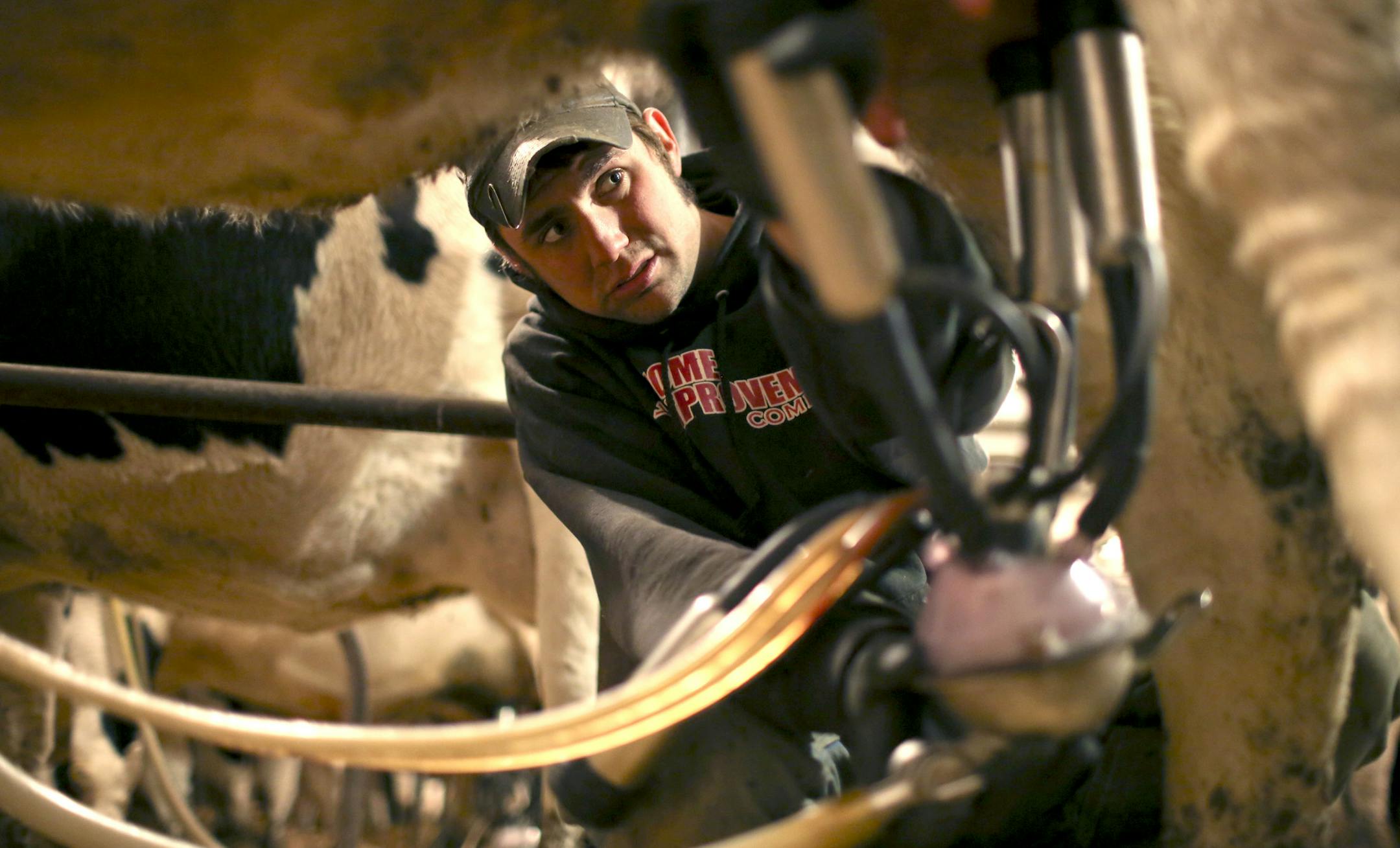 Wisconsin has become the organic farming capital of the Midwest -- and by some measures, the United States. It claims the second-highest number of organic farms in the country, after only California, and it's No. 1 in organic dairy farming. Brothers Jim and Alan Ideker, moved to Wisconsin from Minnesota to start an organic dairy farm. They sell through Organic Valley and have worked closely with other Organic Valley farmers in the area to get going. Alan Ideker attaches the milking machine to on