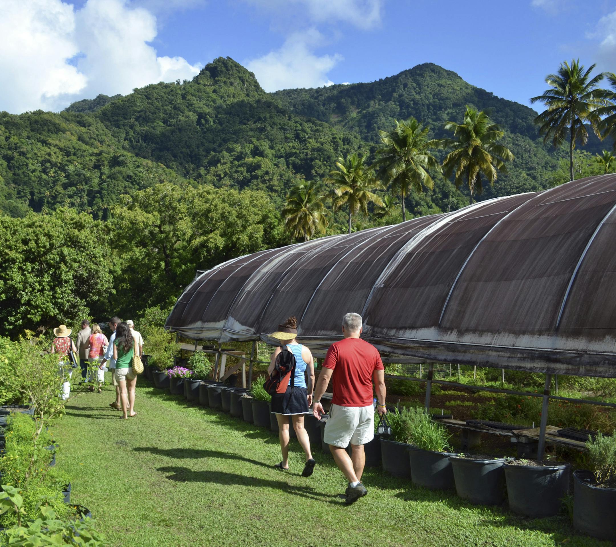In an undated handout photo, Guests walk the estate at Jade Mountain, where they learn about the tree-to-bar production process. Resorts are offering packages and deals for Chocolate Heritage Month, with tours, tastings and spa treatments. (Jade Mountain via The New York Times) NO SALES; FOR EDITORIAL USE ONLY WITH ST LUCIA CHOCOLAT ADV27 BY SARAH AMANDOLARE FOR AUG. 27, 2017. ALL OTHER USE PROHIBITED. --