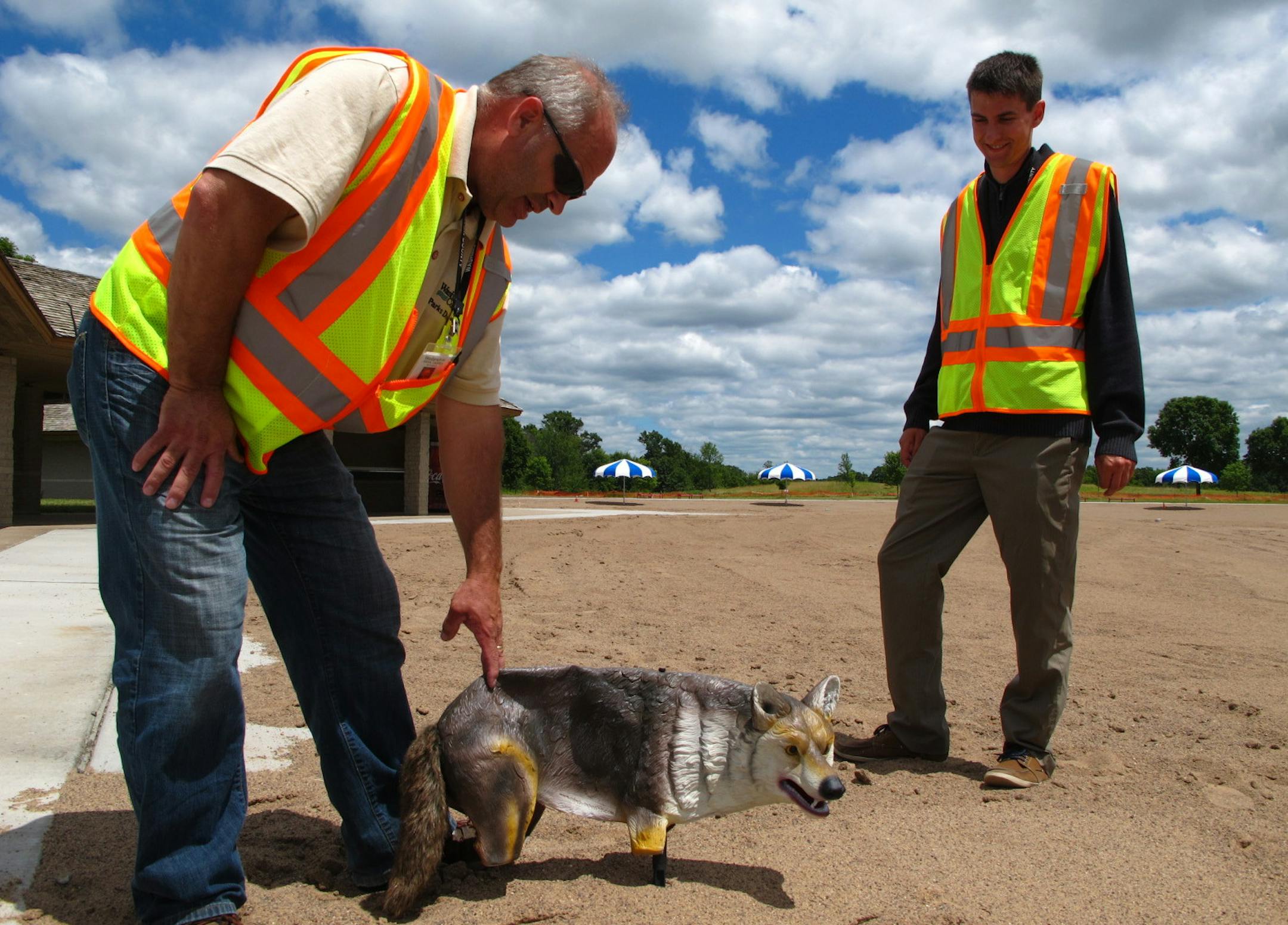A fake coyote keeps geese away from the tons of sand at the rebuilt swim pond. Washington County employees Brad Swenson, left, and Andrew Giesen say the pond will reopen Aug. 1.