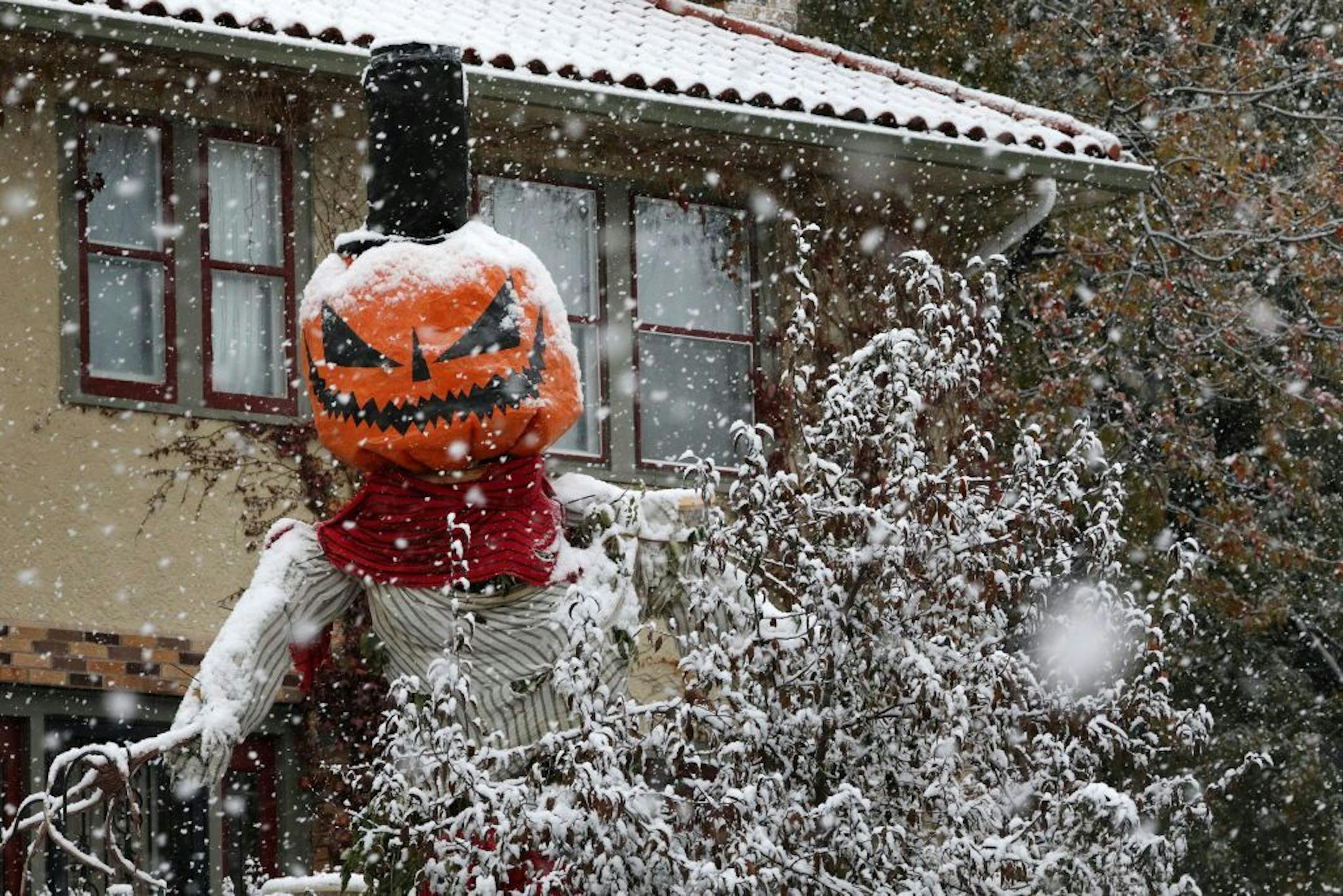 A huge halloween figure peered over a tree in the yard of a home on NE Lowery Avenue as snow fell Friday evening in the Audubon Park neighborhood of Minneapolis.