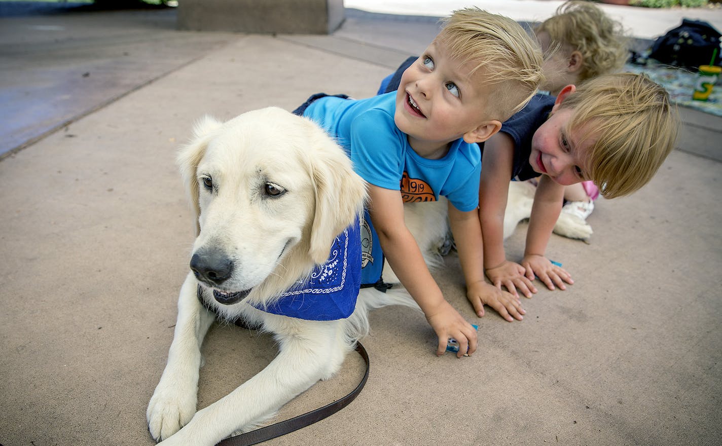 Children including Logan Hoyt, left, and Jude Riley, right, of Lakeville, MN, laid on "Gideon the comfort dog," as he went on a walk with Pam Lienemann of St. Michael's Lutheran Church, Thursday, July 5, 2018 at Centennial Lake in Edina, MN. ] ELIZABETH FLORES &#xef; liz.flores@startribune.com