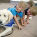 Children including Logan Hoyt, left, and Jude Riley, right, of Lakeville, MN, laid on "Gideon the comfort dog," as he went on a walk with Pam Lieneman