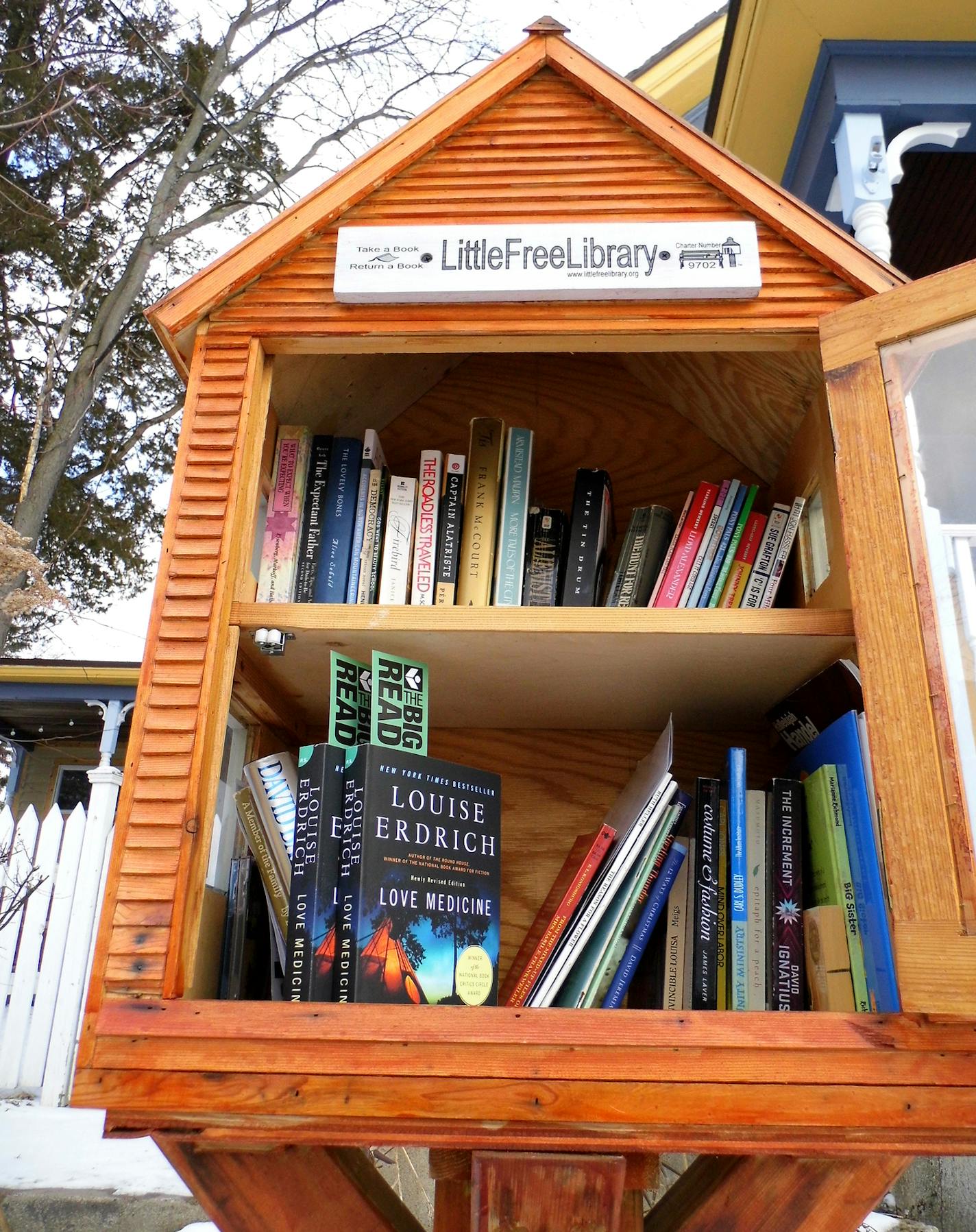 the "Love Medicine" book inside a Little Free Library.