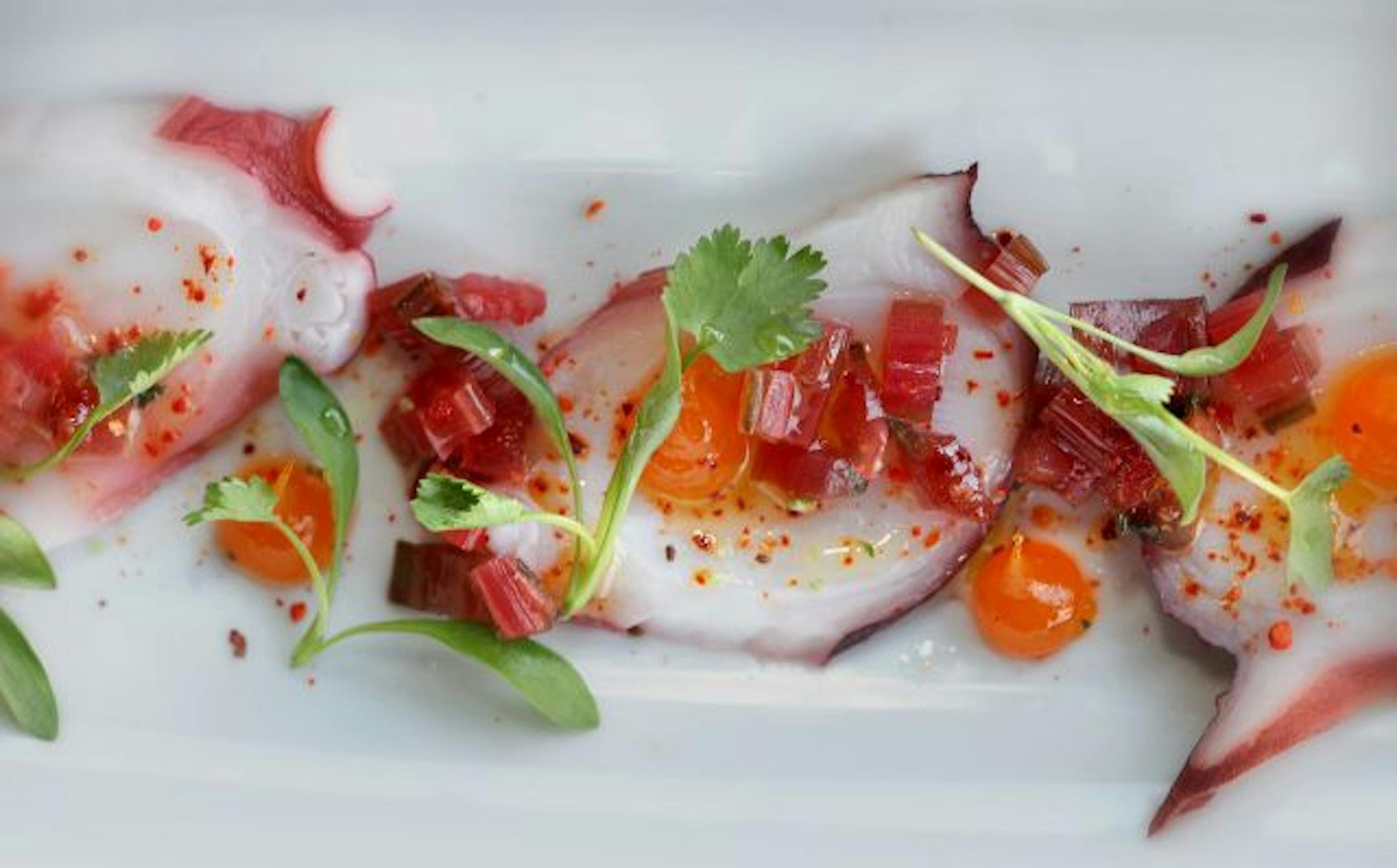 A don't-miss dish — sliced octopus with Swiss chard — gets the Flickerian visual treatment.