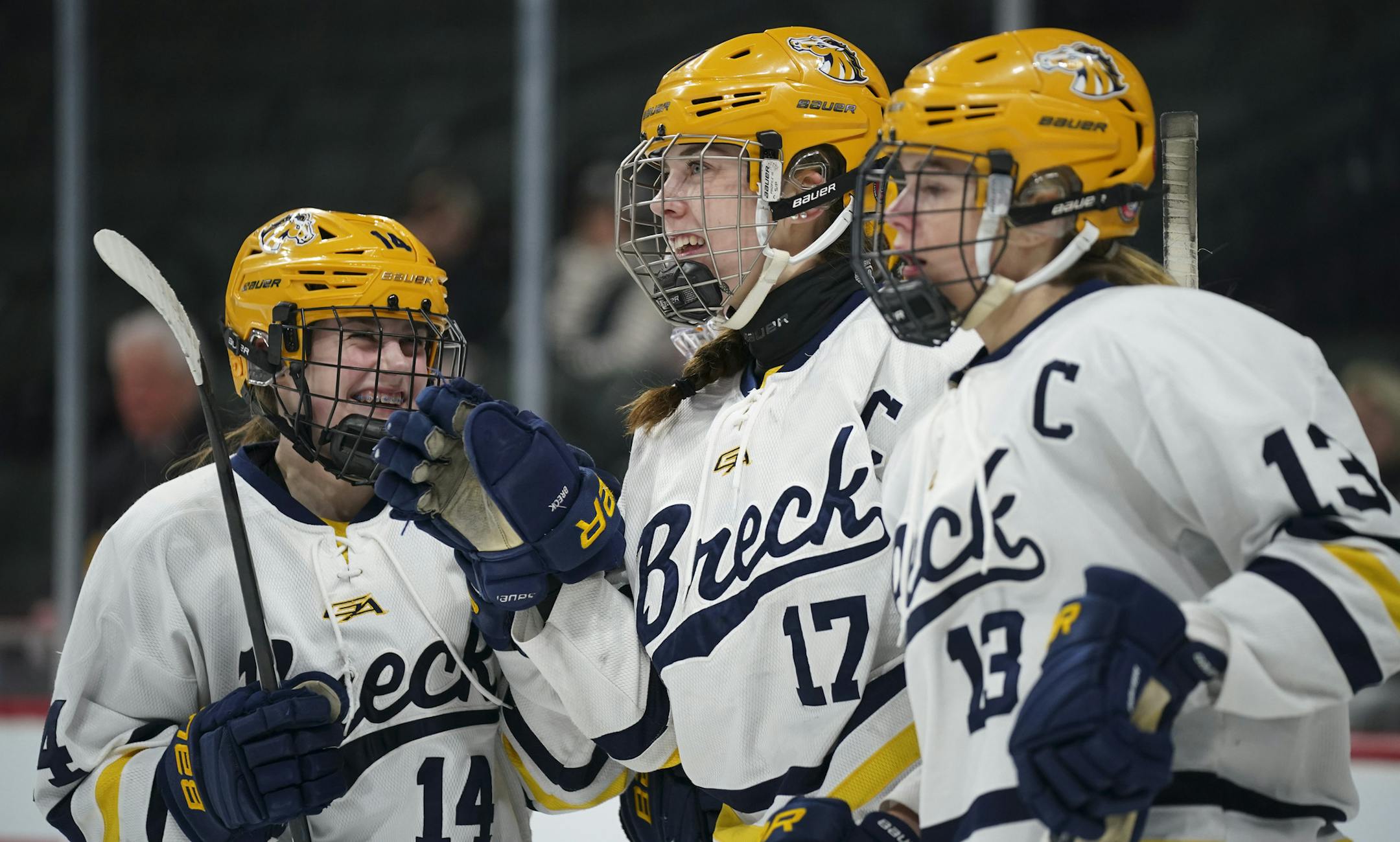 Olivia Mobley (17) celebrated a first period goal with teammates Josie Lang (14) and Ashley Halverson (13) during Brecfk School's 8-1 victory over Luverne in the quarterfinals.