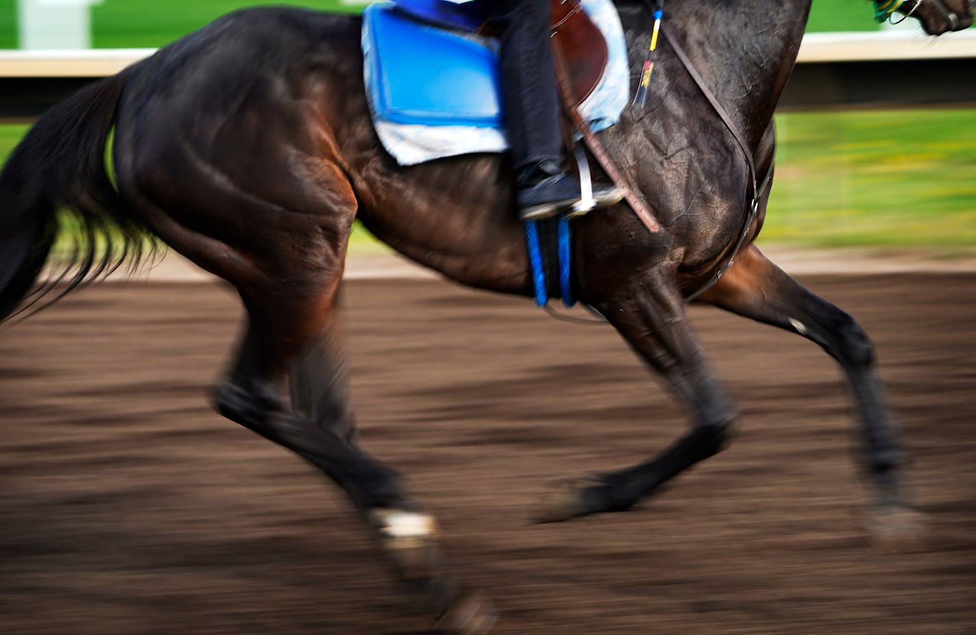 An exercise rider works out a horse on the race track at Canterbury Park to prepare for the opener on Wednesday and seen Monday, May 16, 2022 in Shakopee, Minn. ]