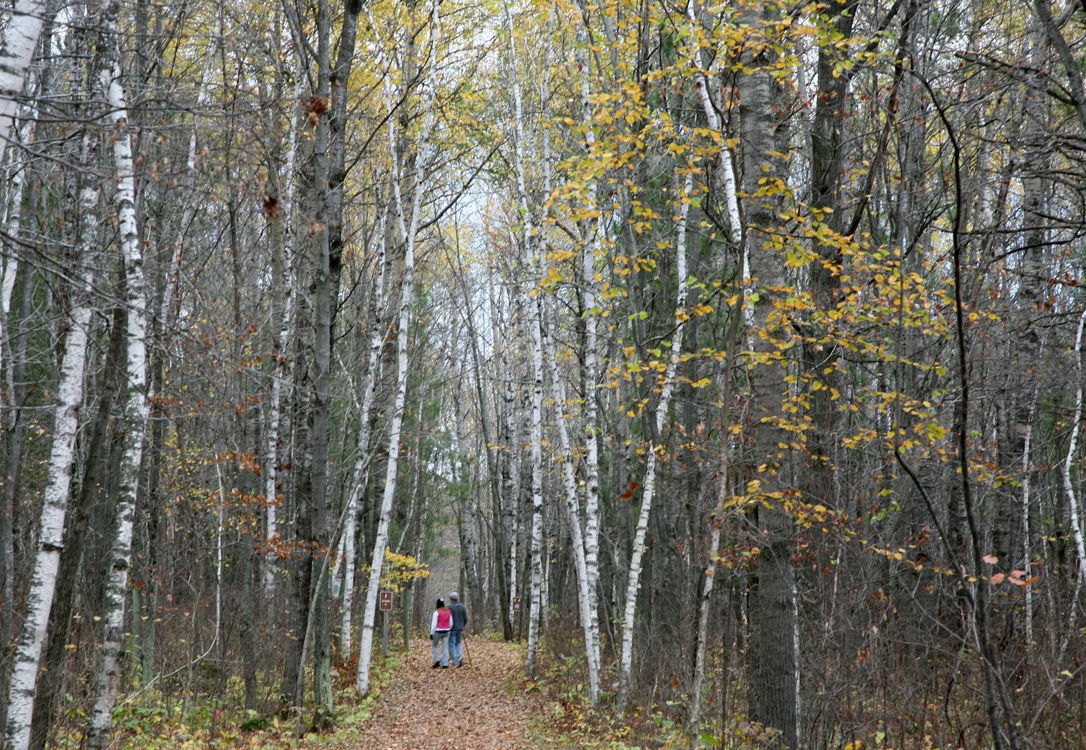 Hiking at Banning State Park, Minnesota.