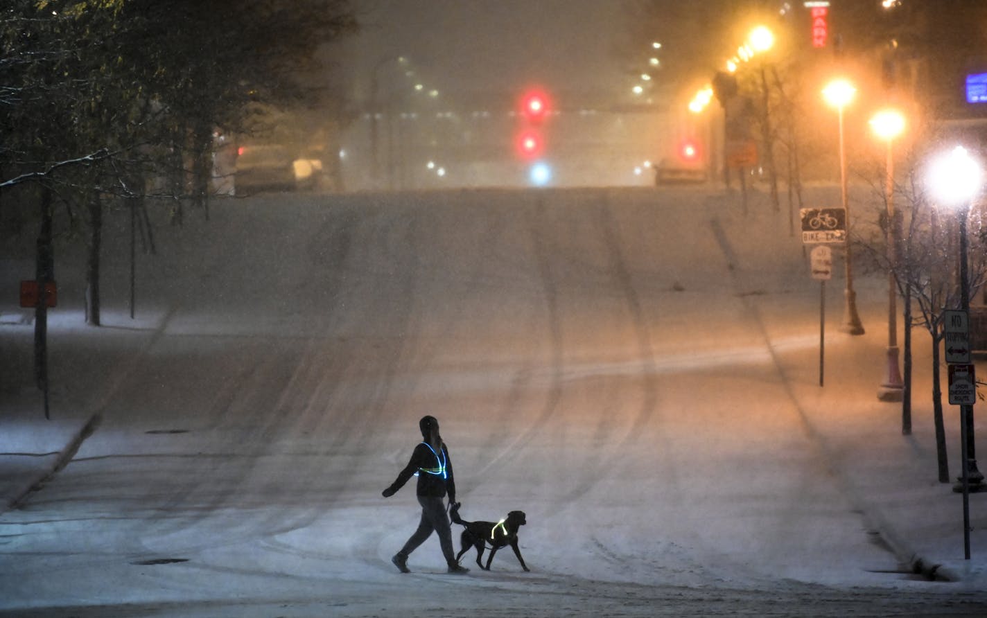 A dog walker crossed Portland Avenue along West River Parkway during Tuesday night's snow storm in downtown Minneapolis. ] AARON LAVINSKY • aaron.lavinsky@startribune.com A snowstorm hit downtown Minneapolis during rush hour on Tuesday, Nov. 10, 2020.