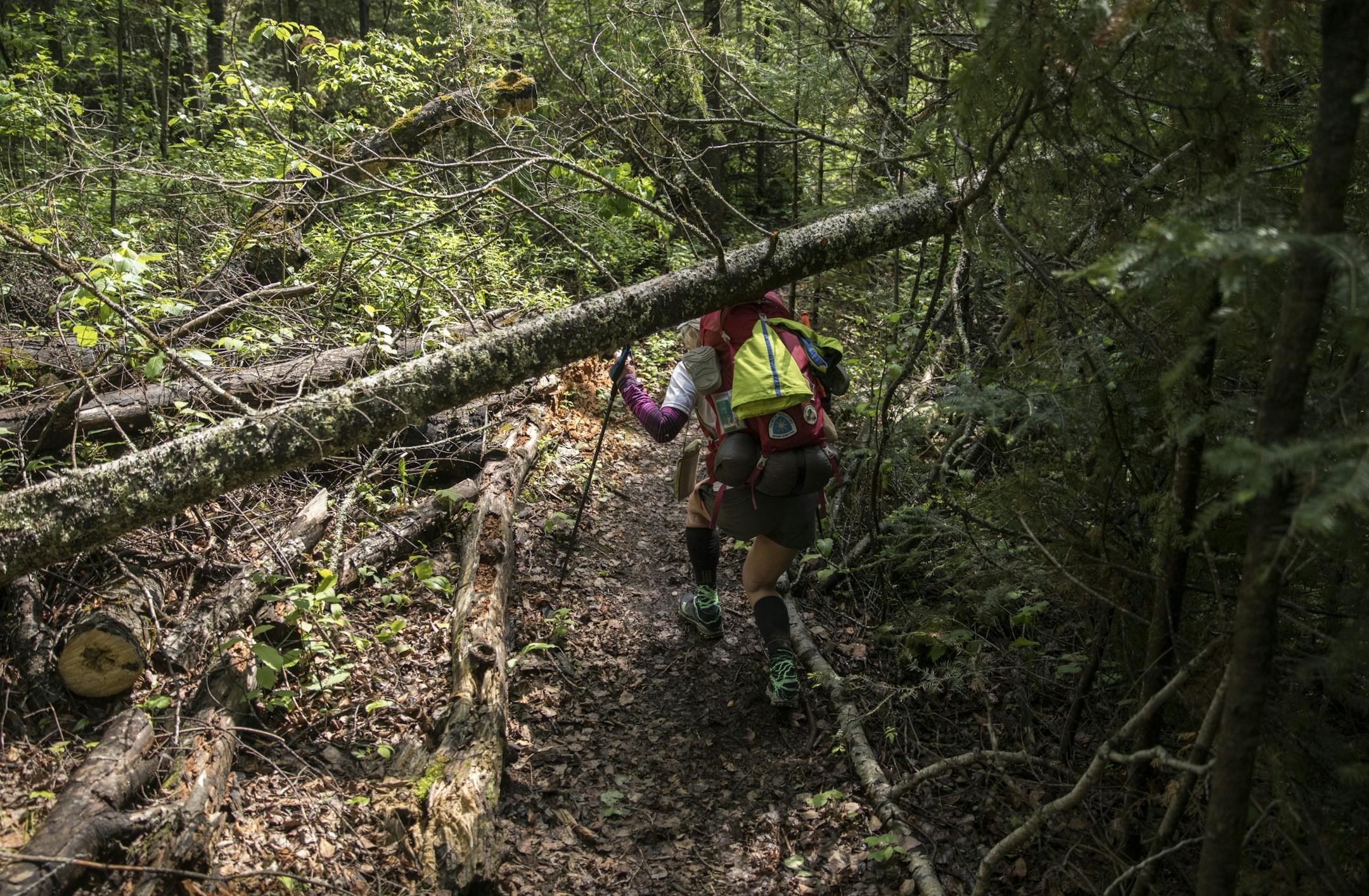 Day-5 - Melanie McManus ducks under a fallen balsam tree across the trail.