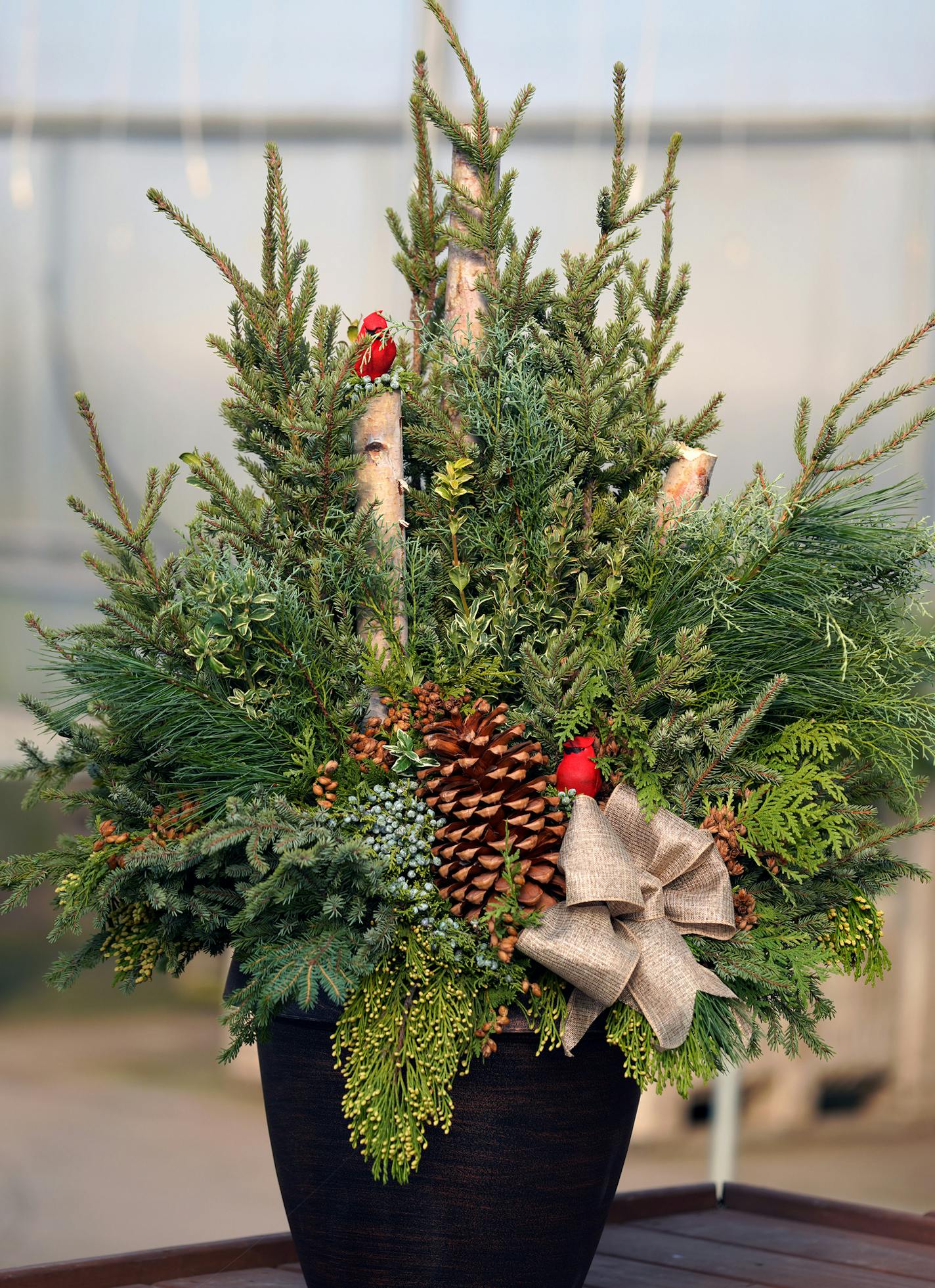 Custom holiday planter designed by Pahls designer Beth Rau. Ideas for creative winter and holiday spruce tip planters.
brian.peterson@startribune.com
Apple Valley, MN
Tuesday, November 5, 2019