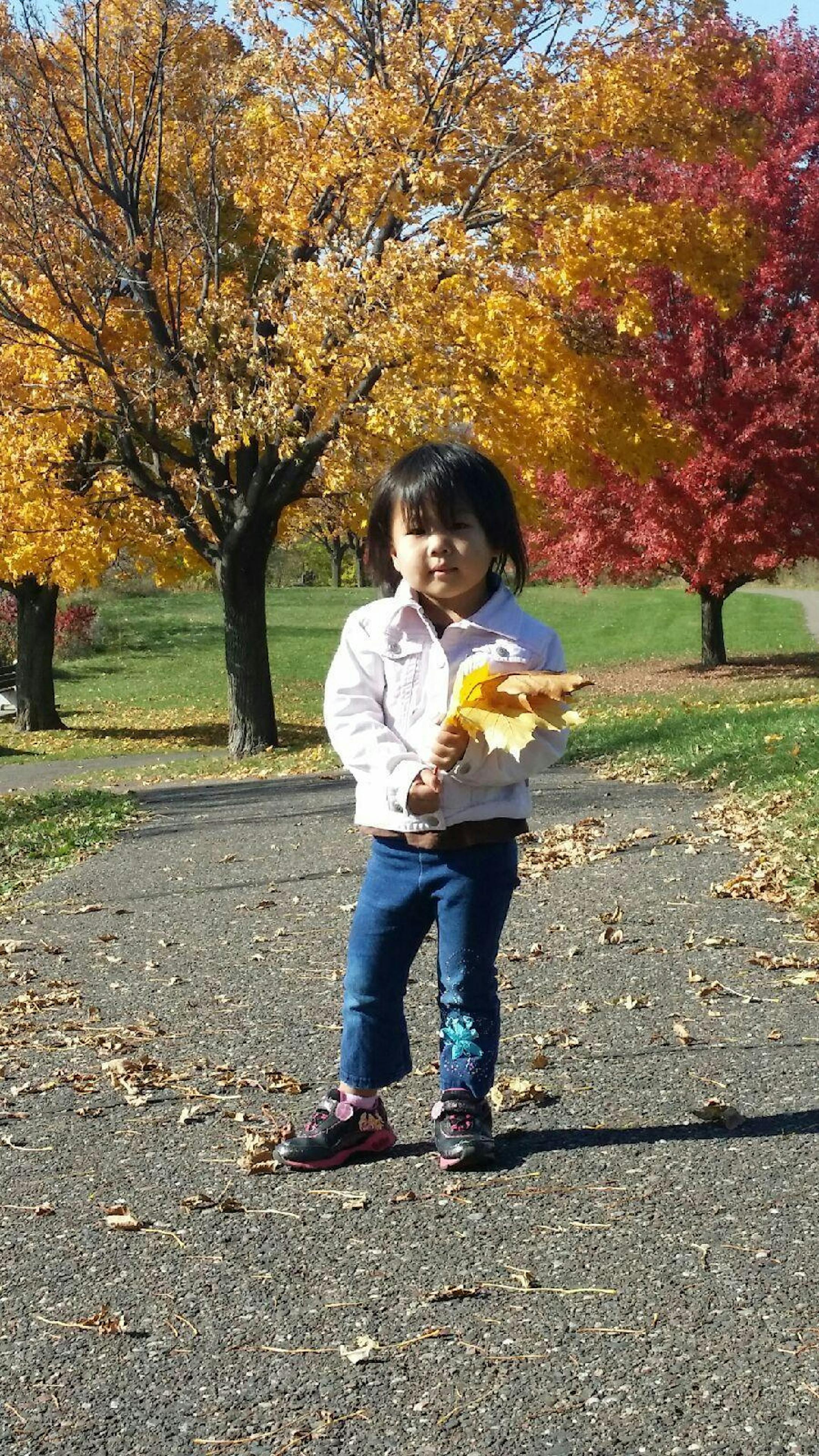 Four-year-old Ntshialiag Yang died after being pulled from a fire Sunday night on St. Paul's East Side, authorities said.