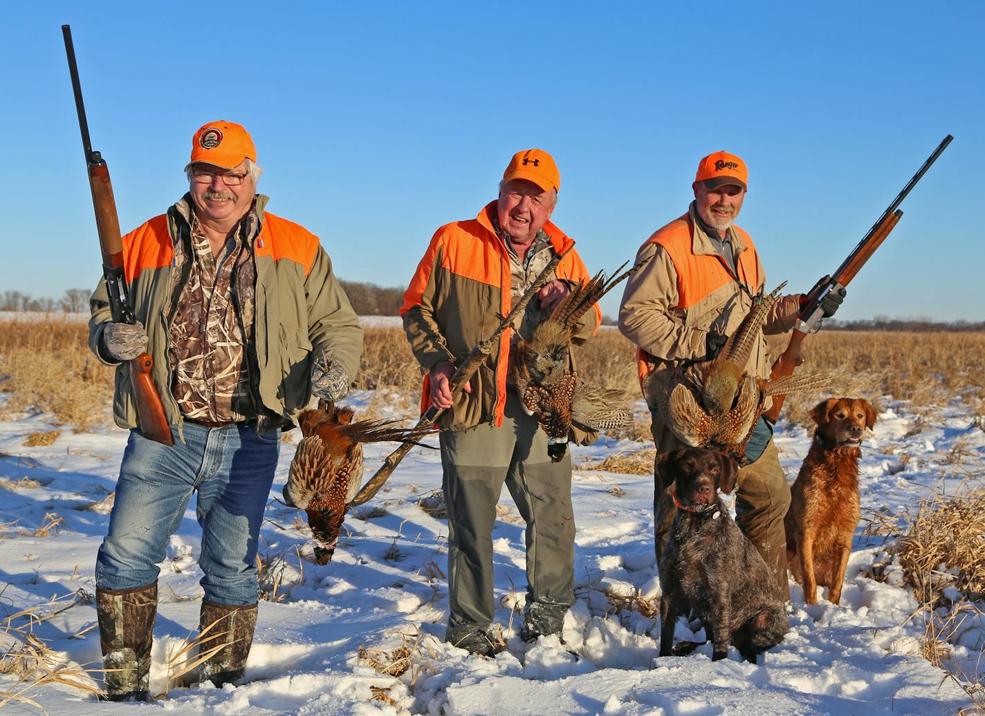 Nicollet Conservation Club members, from left, Froehlich, Otto and Zins and dogs Kirby and Blackie put four pheasants in their bag on Wednesday while hunting in southern Minnesota.