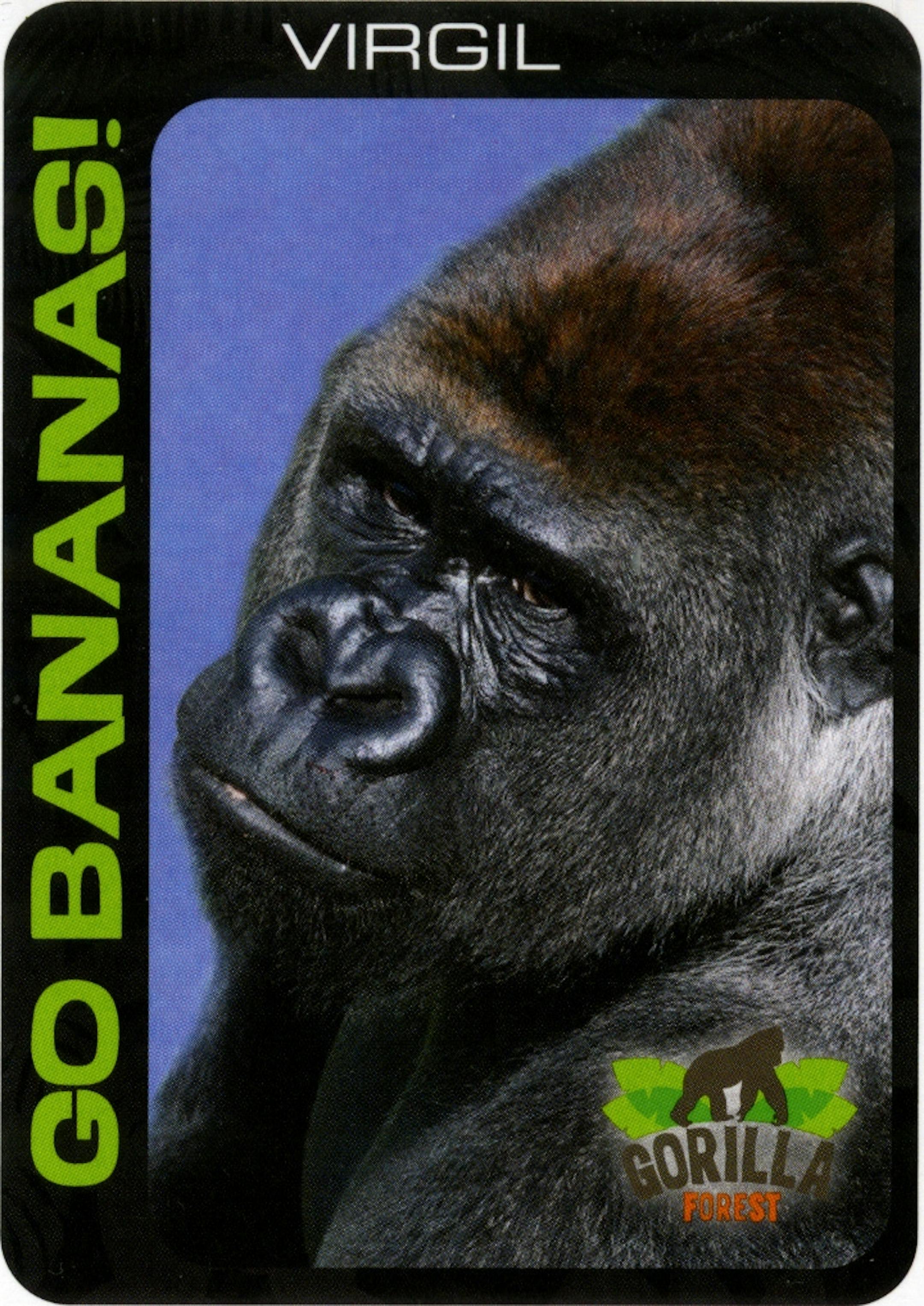 New Como Zoo gorilla exhibit, June 2013