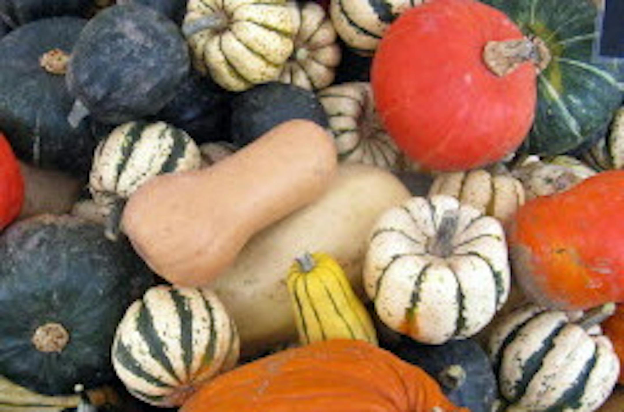 Varieties of squash are just some of the produce available even as some outdoor farmers markets such as Mill City move indoors. Minneapolis and St. Paul Farmers Markets remain open daily through mid- to late November.