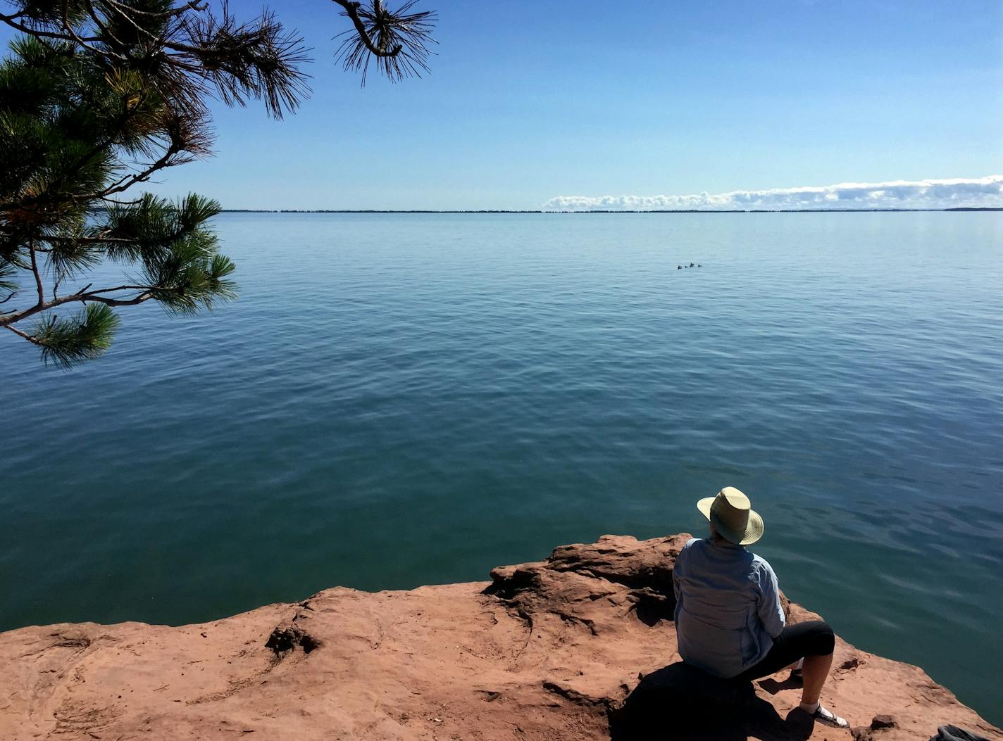 Opponents of a proposed large-scale hog facility in the Lake Superior watershed are worried about possible pollution runoff.