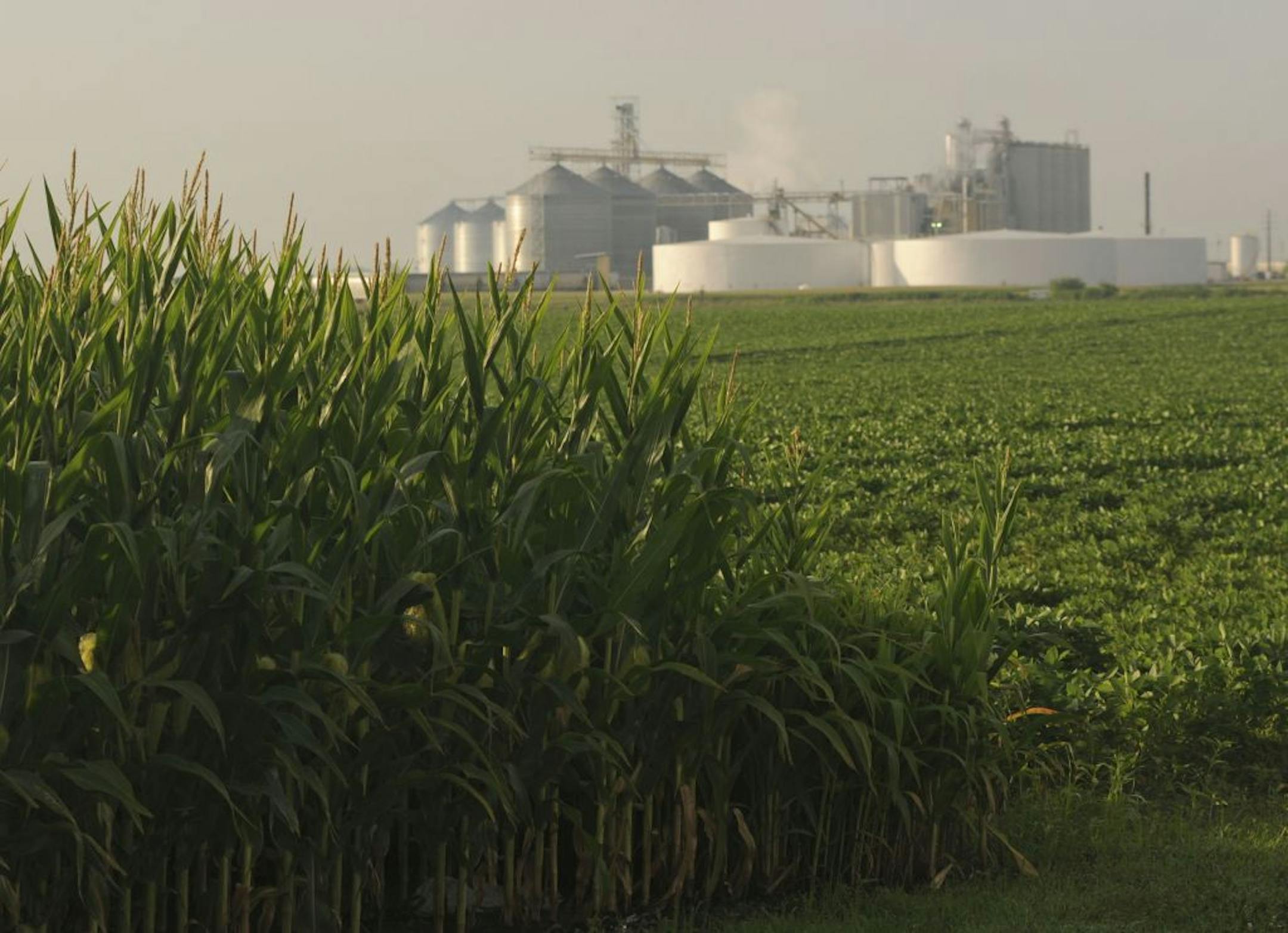 The Poet Biomass stack yard in Emmetsburg, Iowa, contains thousands of corn-husk bales that are used to produce cellulosic ethanol. Each bale yields about 50 gallons of ethanol.