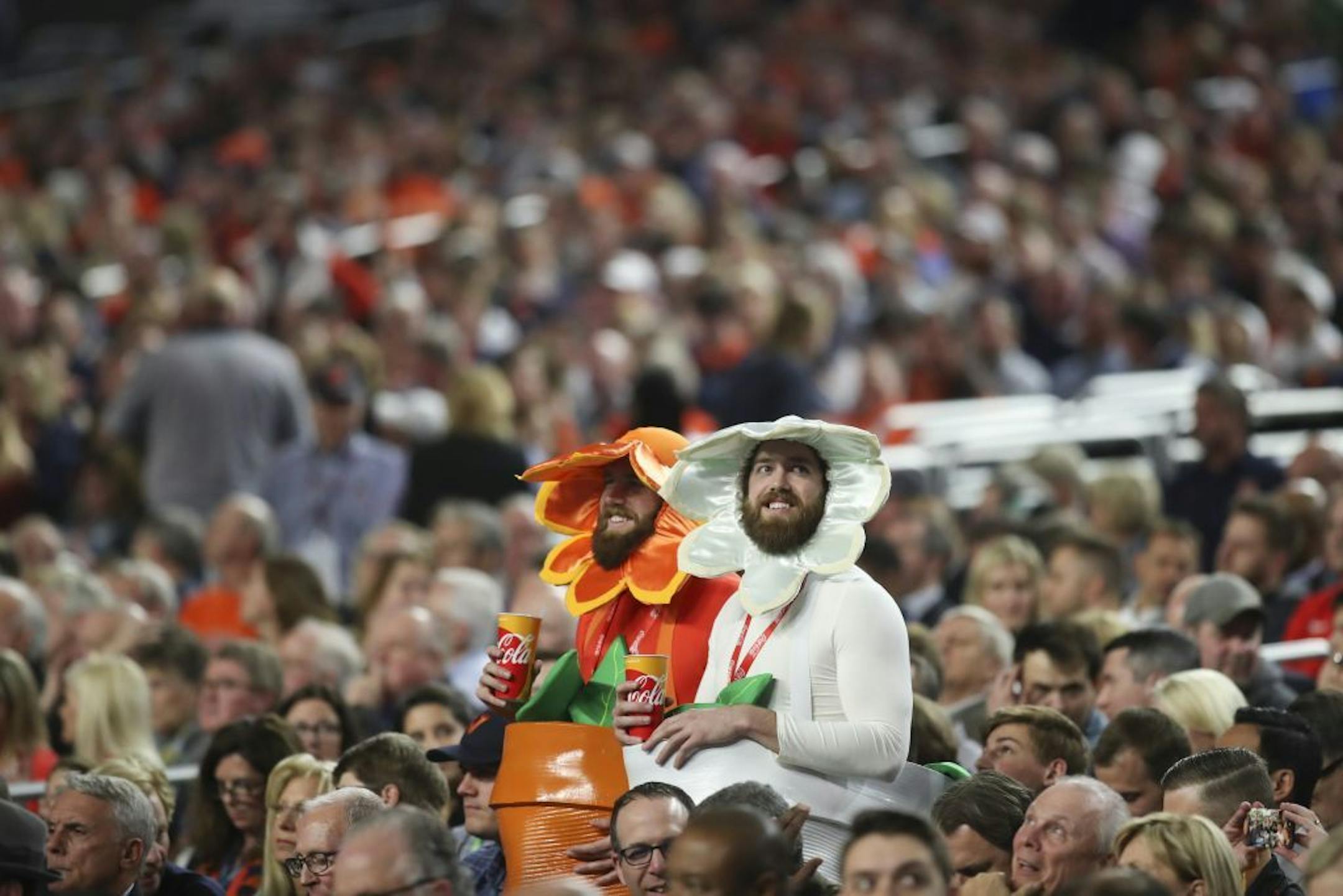 A pair of delicate flowers enjoyed the action in the first half.