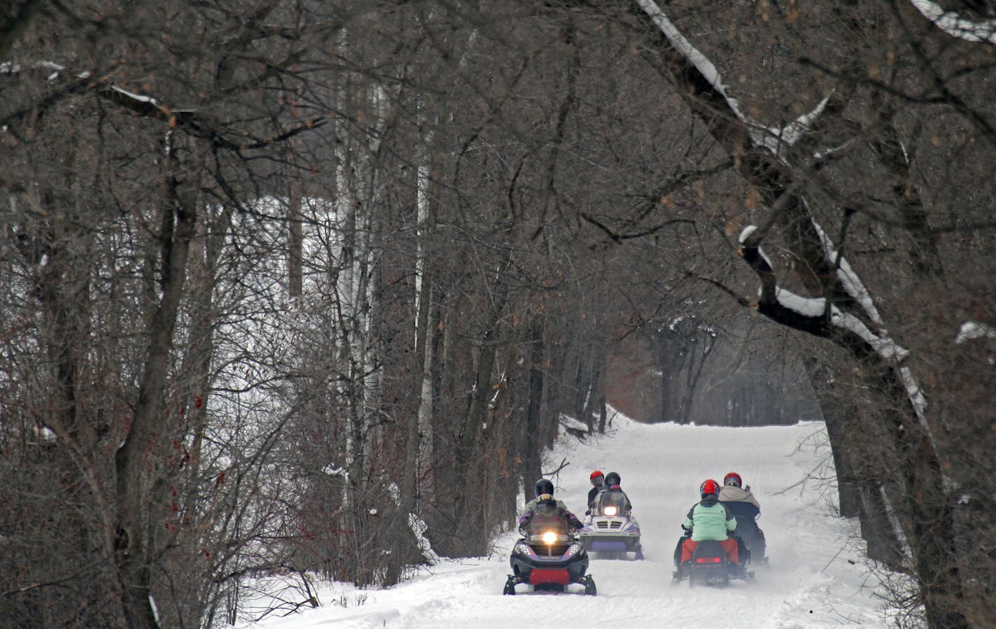 BRUCE BISPING &#x201a;&#xc4;&#xa2; bbisping@startribune.com Lake Minnetonka, MN., Saturday, 12/18/10] Snowmobilers enjoyed the deep snow along the Luce Line Trail just north of Stubs Bay, Lake Minnetonka.