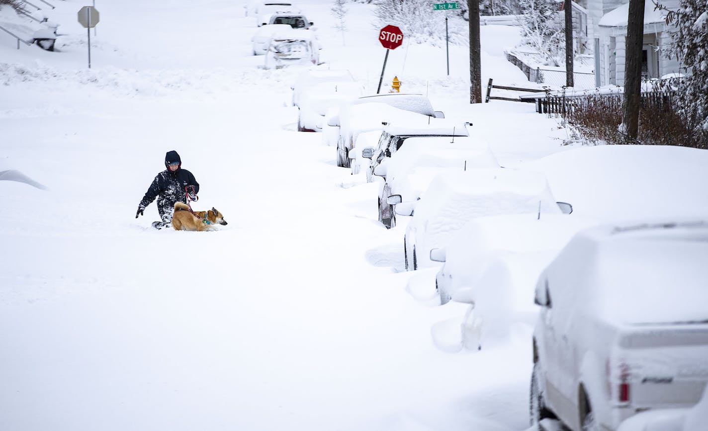 A woman attempted to walk her dog through the thick snow on E. 8th St. in Duluth following the Thanksgiving weekend storms. ORG XMIT: MIN1912011338302590