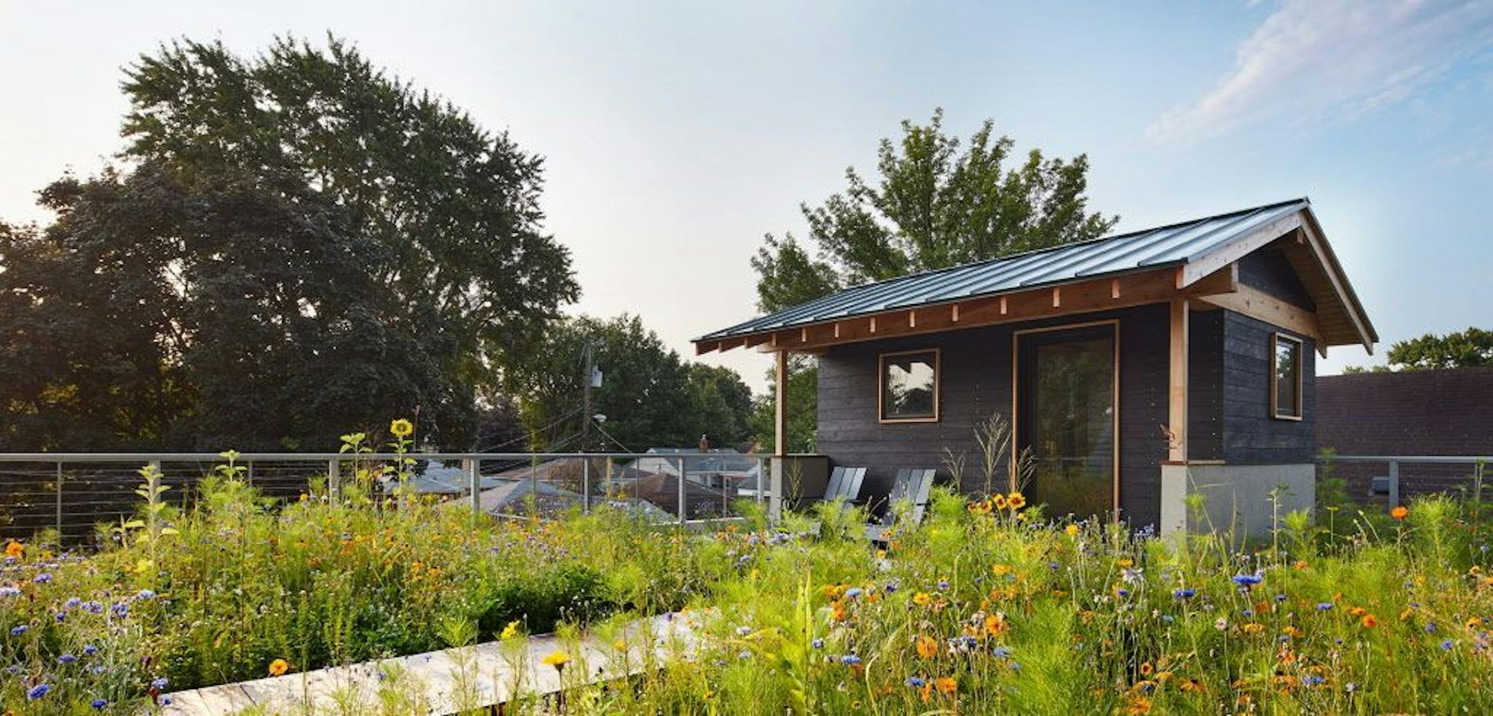 The sauna is surrounded by wildflowers.