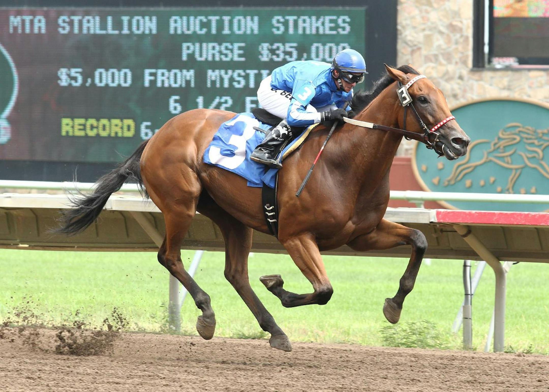 Heliskier in 2012 (courtesy Coady Photography)