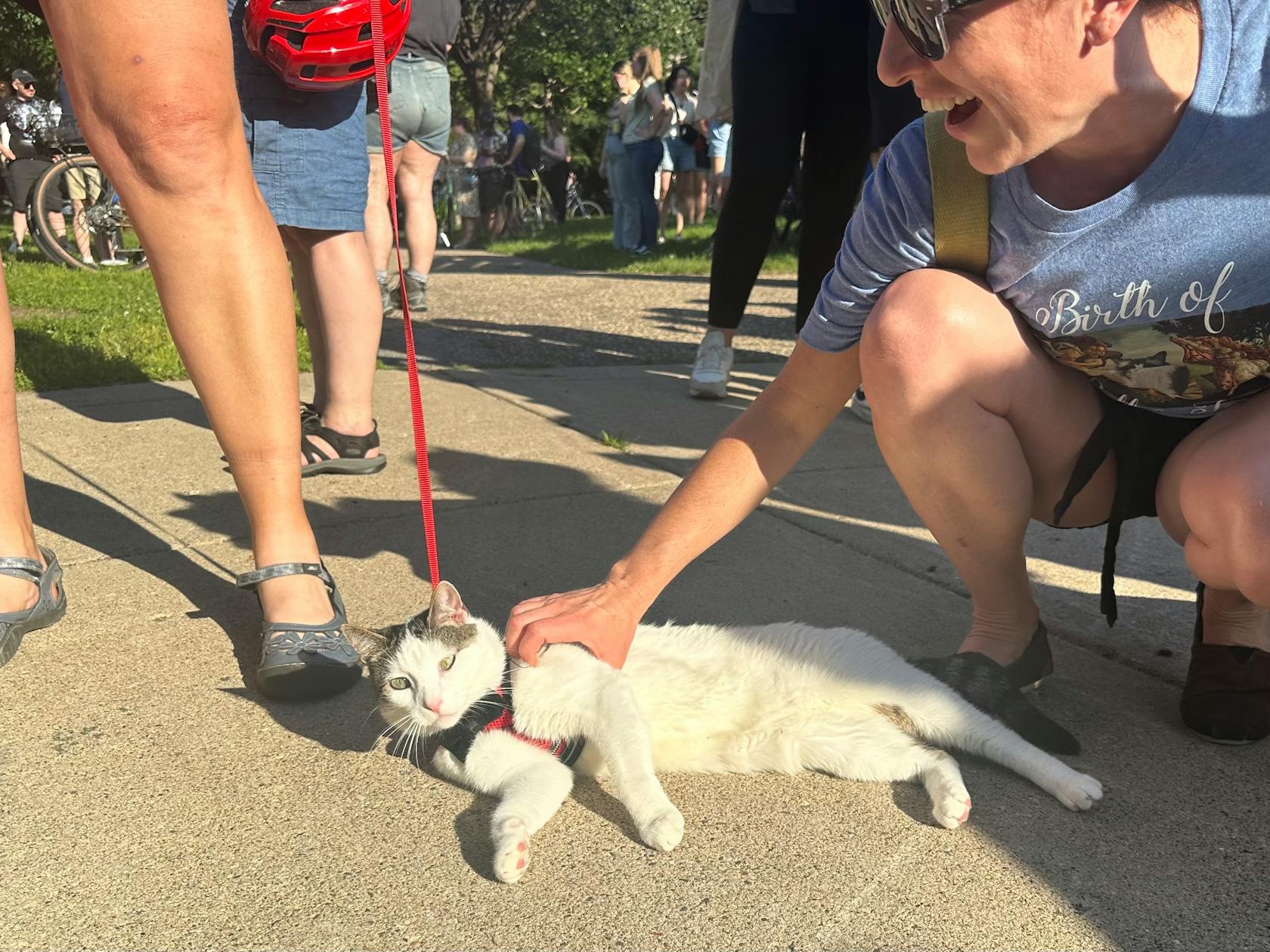 Minneapolis Wedge's 'cat tour' goes purrfectly again this year