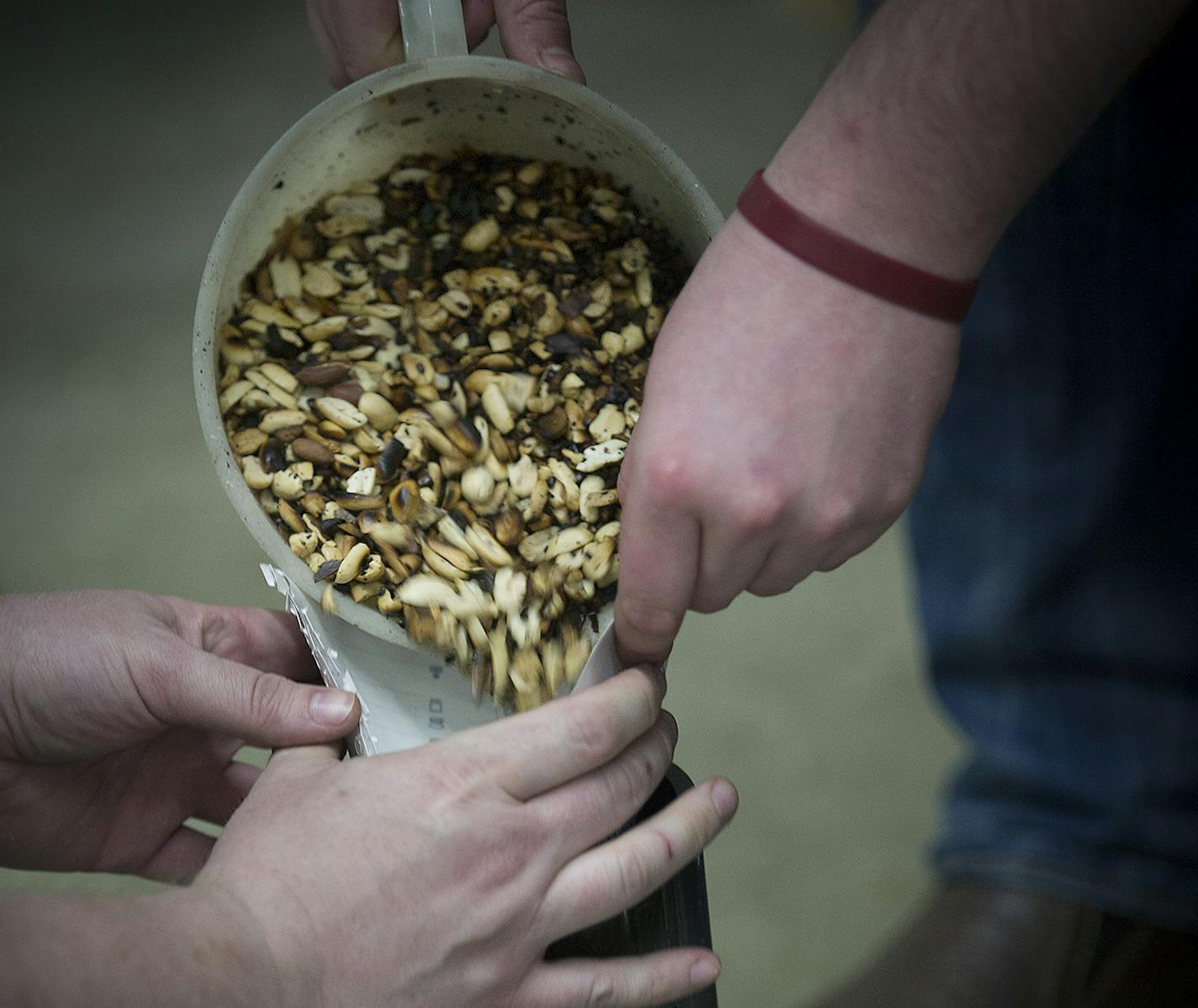 University of Minnesota student engineers worked on a prototype of a machine that extracts oil from peanuts.