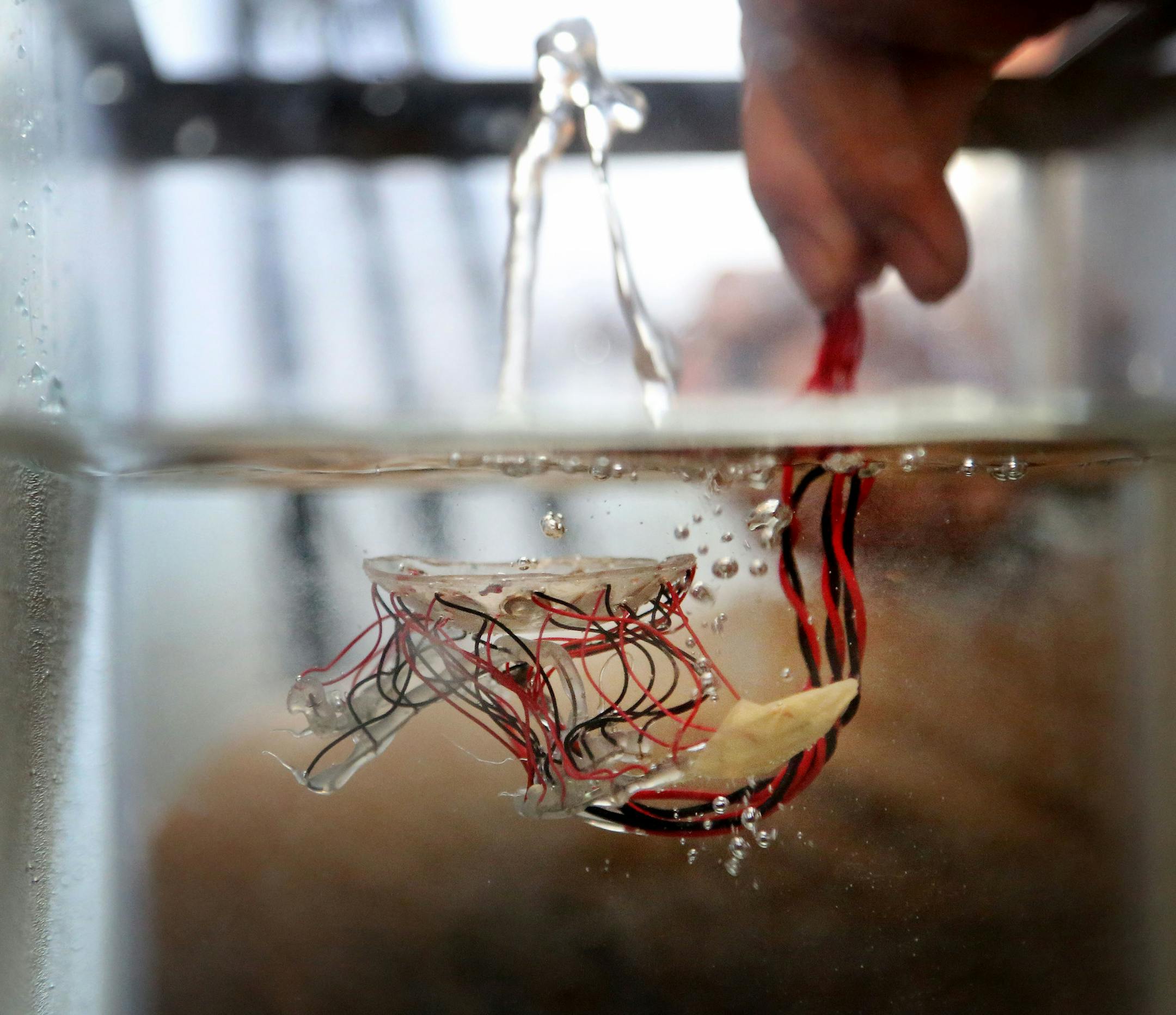 Gulick demonstrates how the device uses miniature waves to move water, similar to how the waves will stimulate nerves.