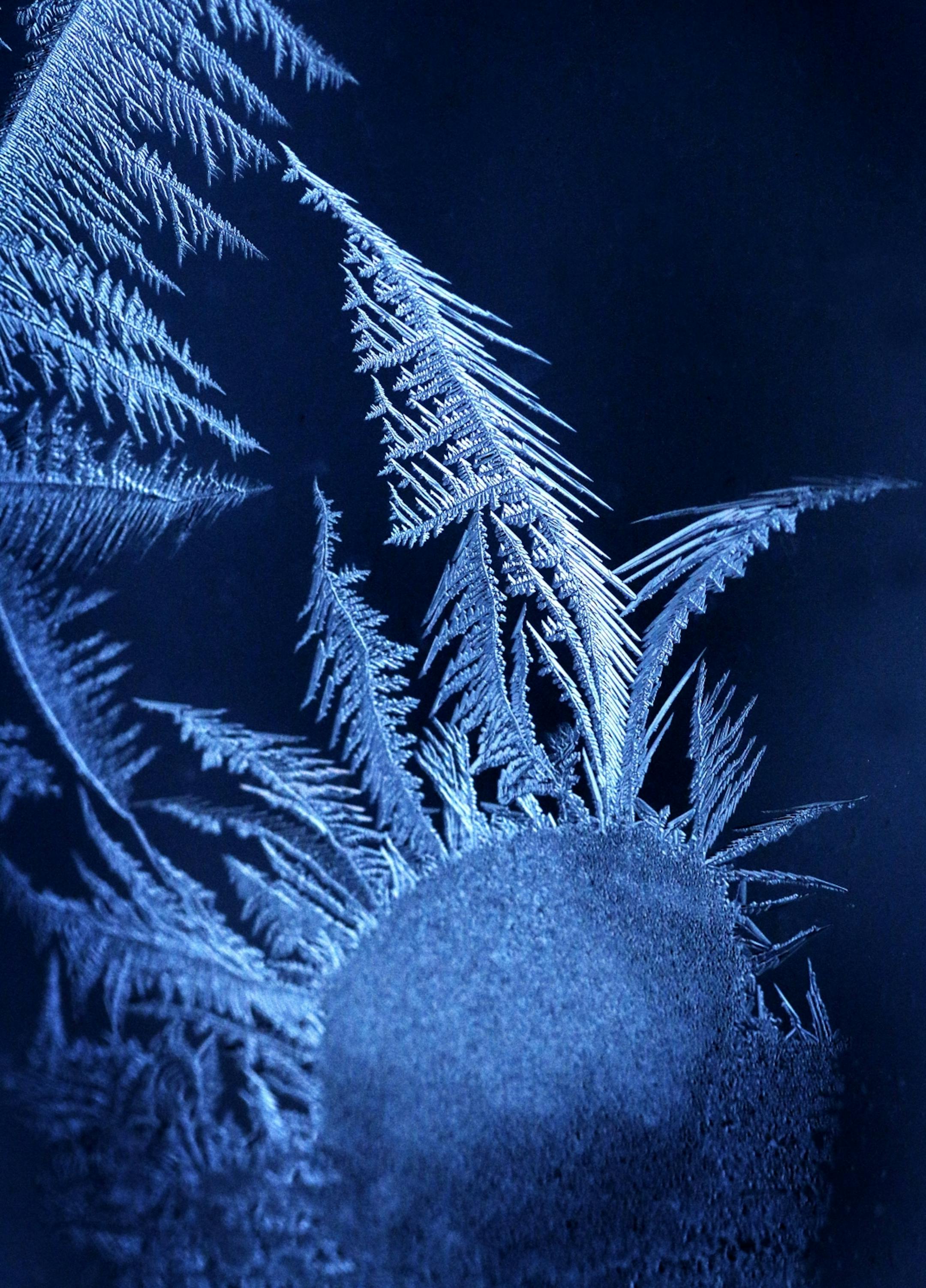 Frost formations on a winter window create unlimited options for interesting macro work.