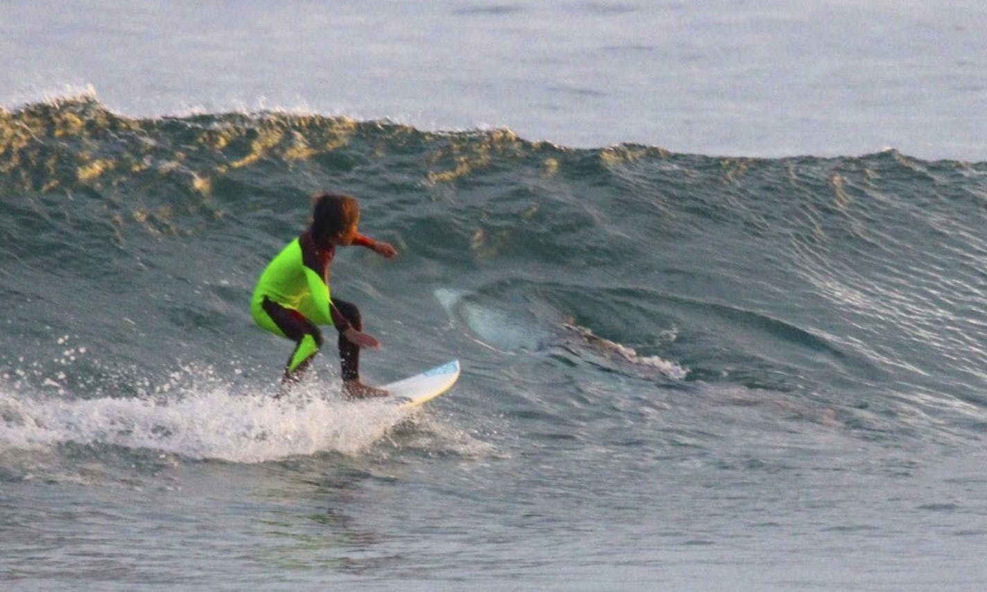 In this photo from Jan. 24, 2017, provided by Chris Hasson, 10-year-old Eden Hasson, Chris' son, surfs near what is believed to be a great white shark at Samurai Beach, Port Stephens, Australia. James Cook University shark researcher Andrew Chin says the photographed shark is possibly a small great white.