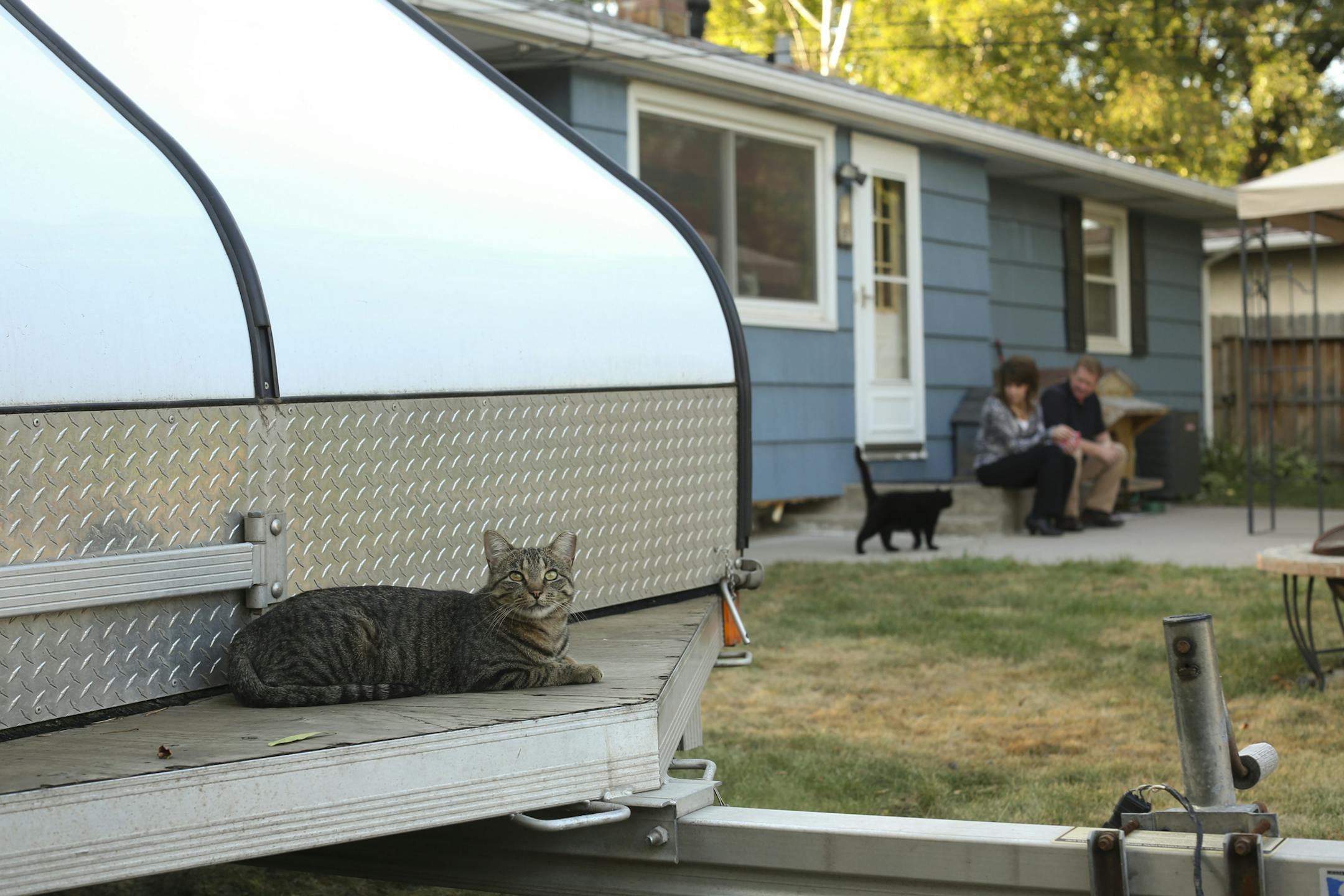 A committee of the Minneapolis City Council voted 5-0 Wednesday afternoon, September 11, 2013 to recommend a new law that in essence licenses the care and feeding of feral cats. Annette and Doug Edge of North St. Paul manage a feral cat colony of 14 felines in their backyard. They both offered testimony at the city council meeting in support of the measure. The Edges with two of their colony of 14 feral cats that they allow to live in their backyard. ] JEFF WHEELER ‚Ä¢ jeff.whee