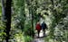 FILE -- A couple head down a trail along Jensen Lake in Lebanon Hills Regional Park.