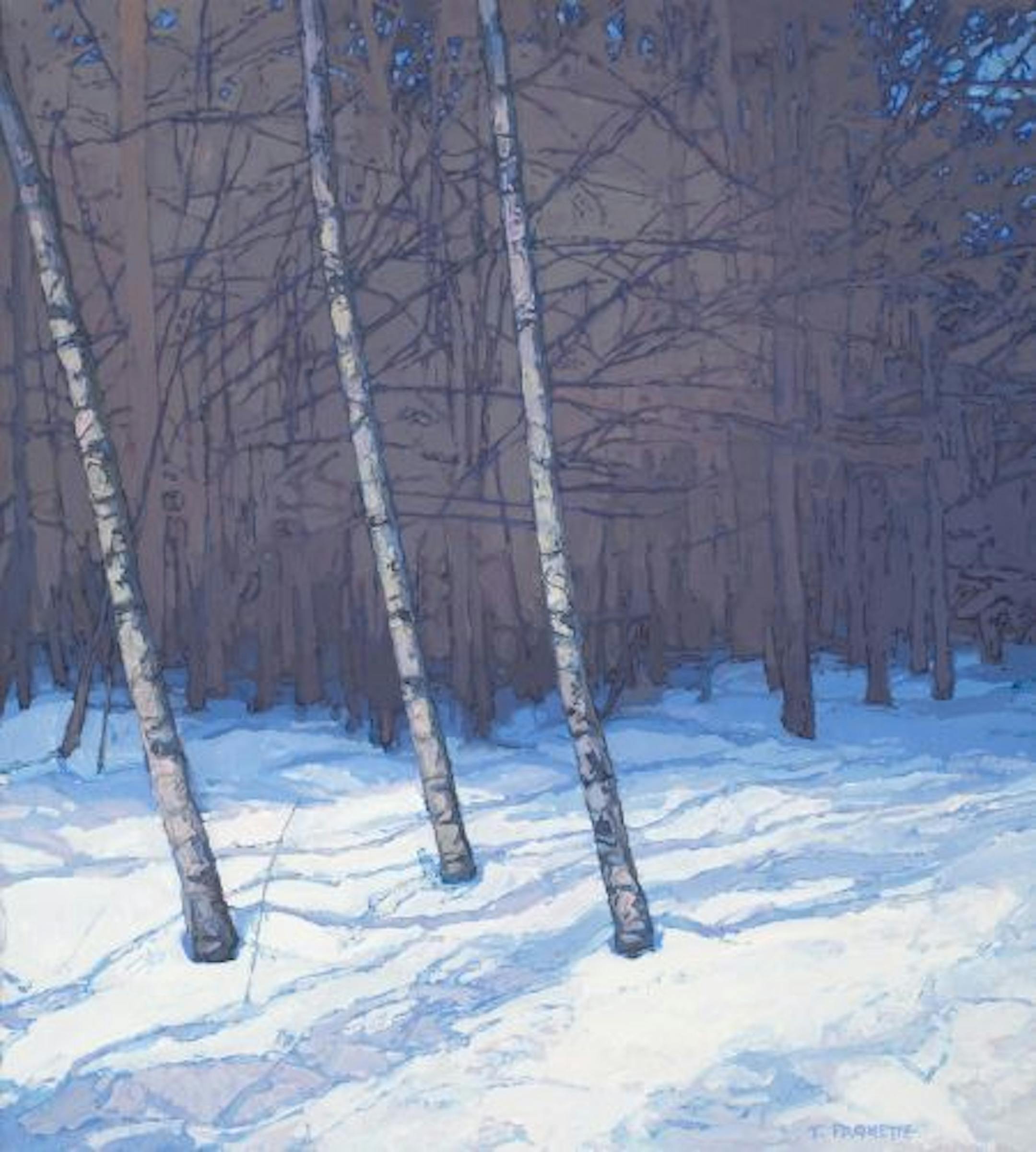 Thomas Paquette, Three Slanted Trees in Snow, 2008