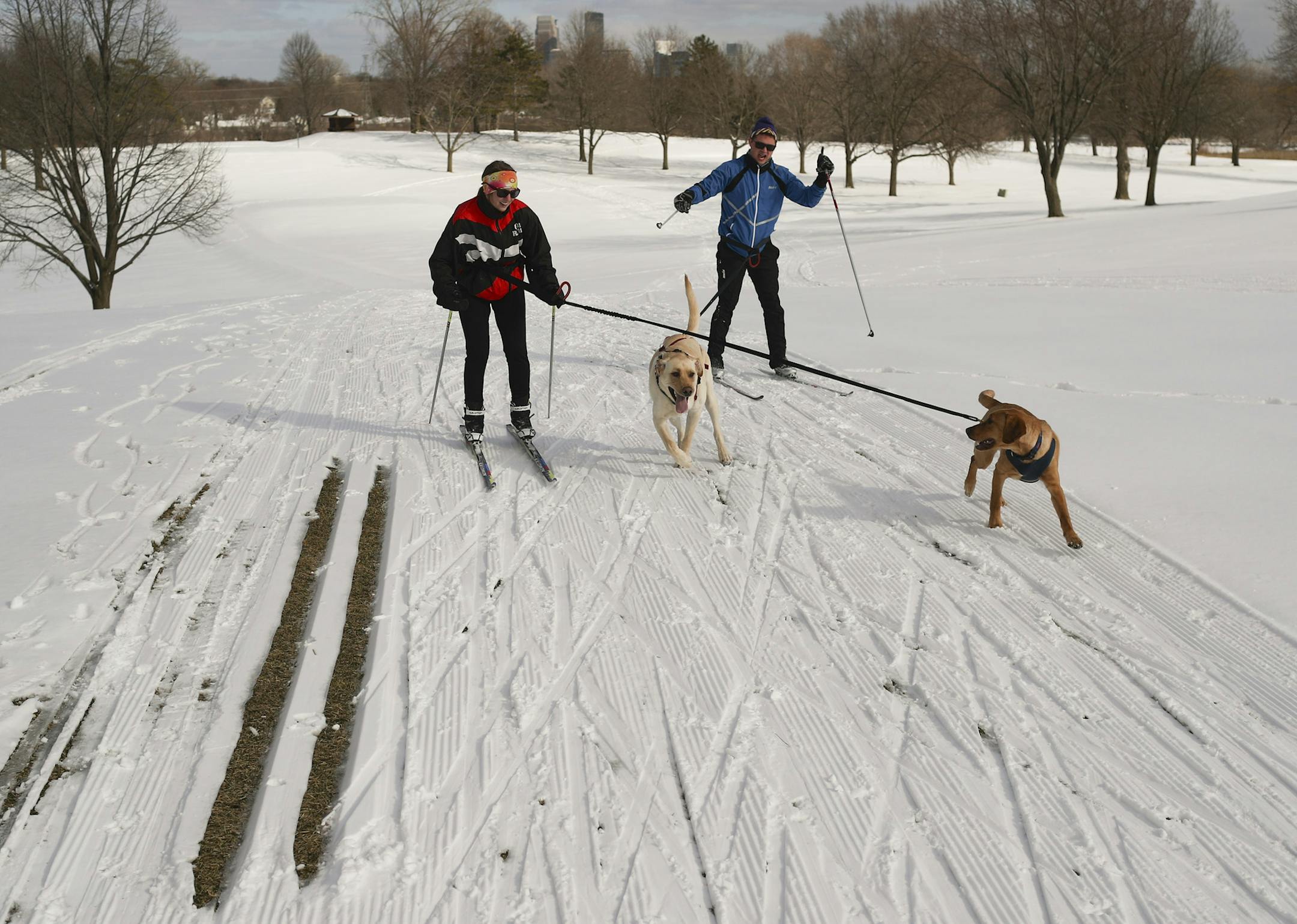 Ally Heida and Kyle Anderson skijored with their dogs, Teddy and Dudley on the groomed trails of Theodore Wirth Park Monday afternoon. ] JEFF WHEELER ï jeff.wheeler@startribune.com Warm weather is chipping away at Minnesotans' beloved ski season and, in turn, at city and county budgets. Parks and recreation departments depend on income from ski and snowboard lessons, daily passes and winter equipment rentals to keep trails groomed and the lights on. At Theodore Wirth Park, skiers took advan