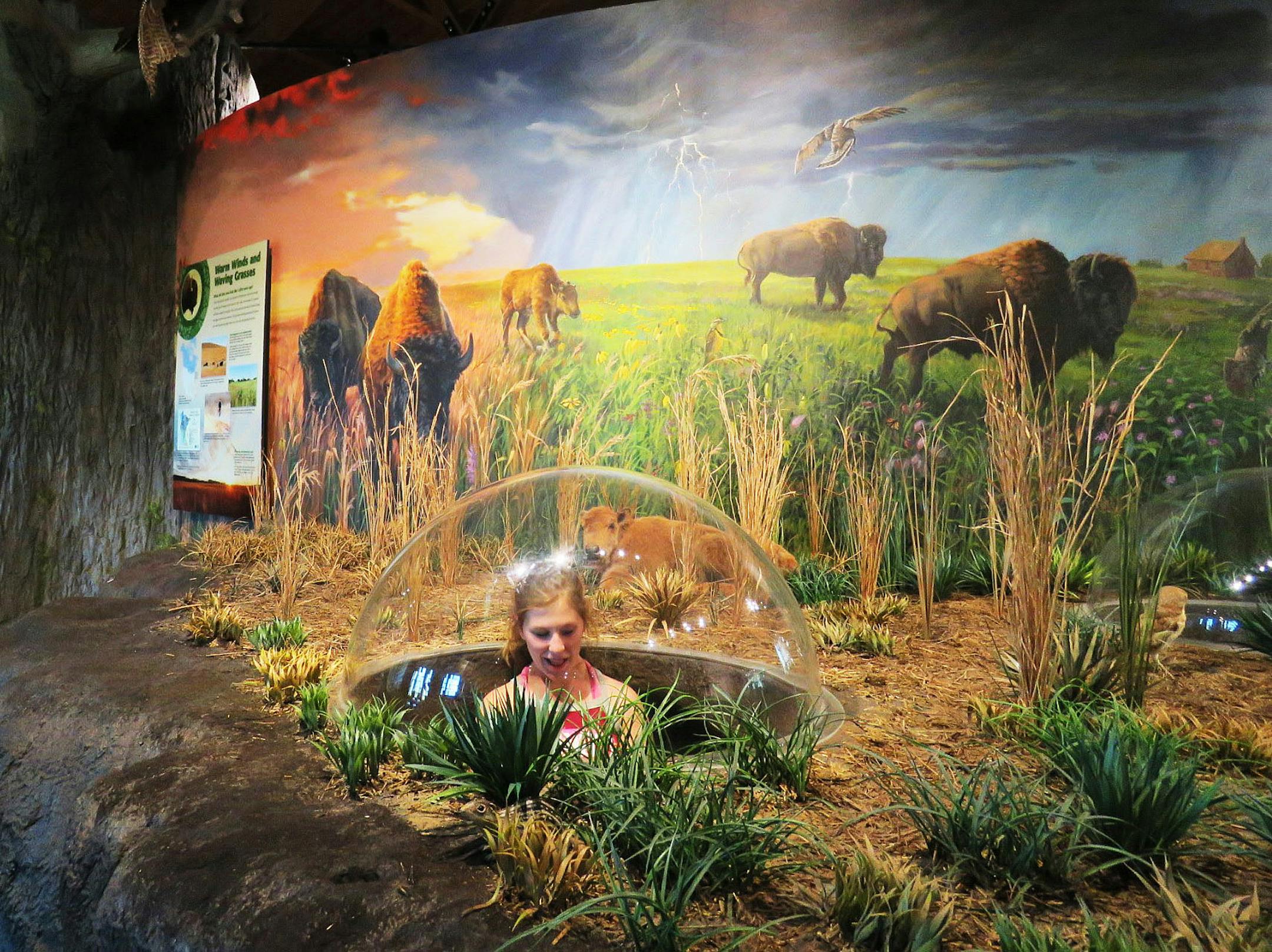 Hormel Nature Center.