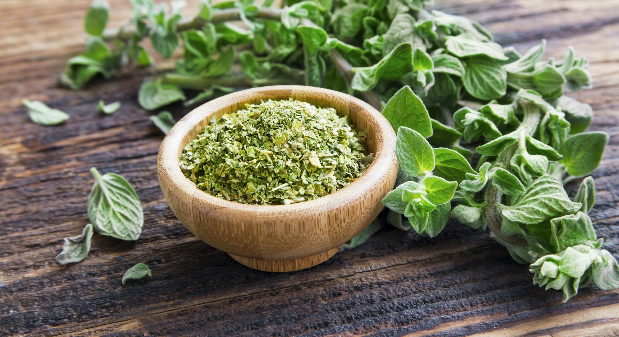 Oregano makes a fine choice as a substitute for basil in pesto.