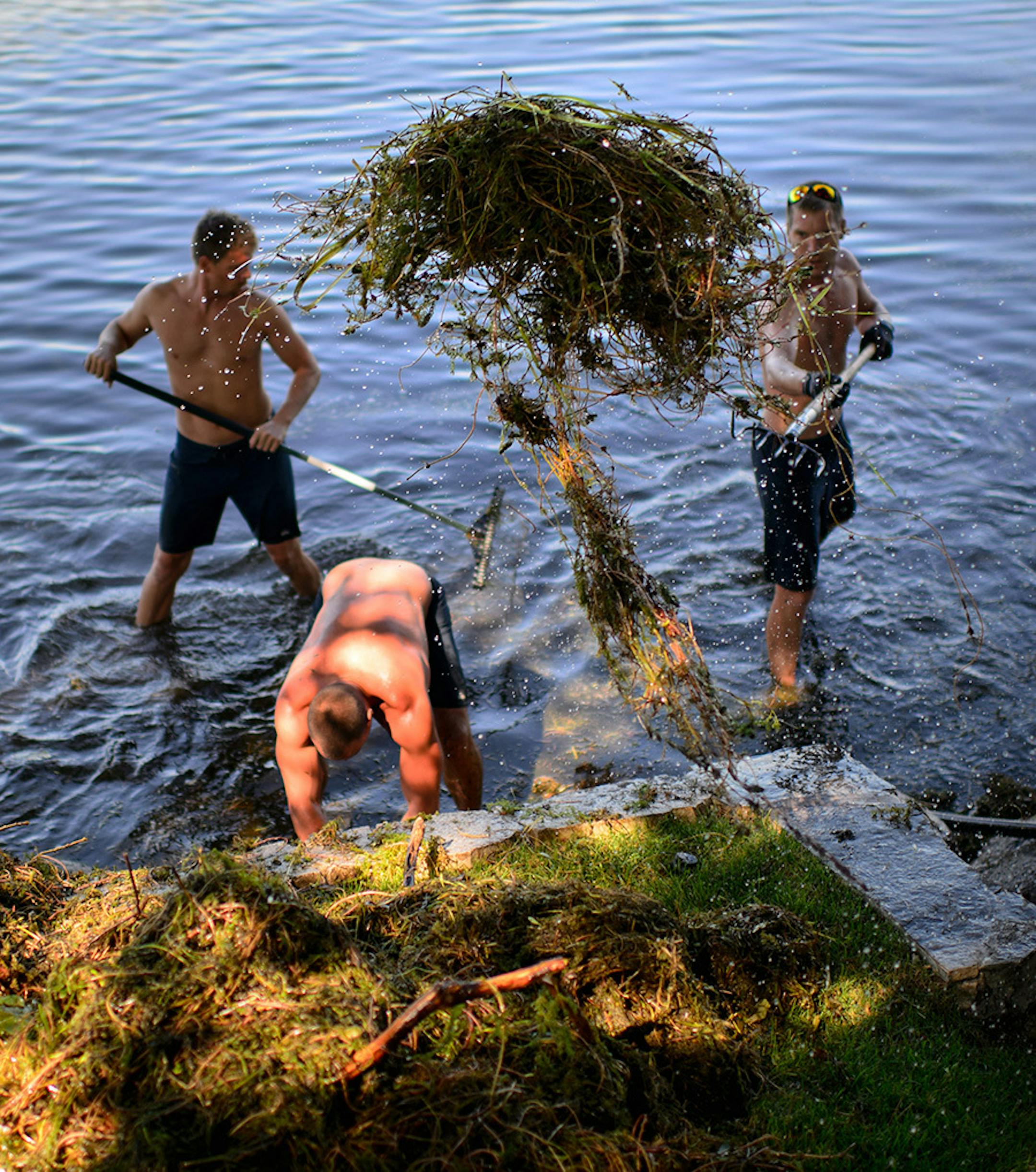 Life's A Beach Shoreline Services crew cleaned lake weeds including milfoil for a customer who lives on Lake Minnetonka.