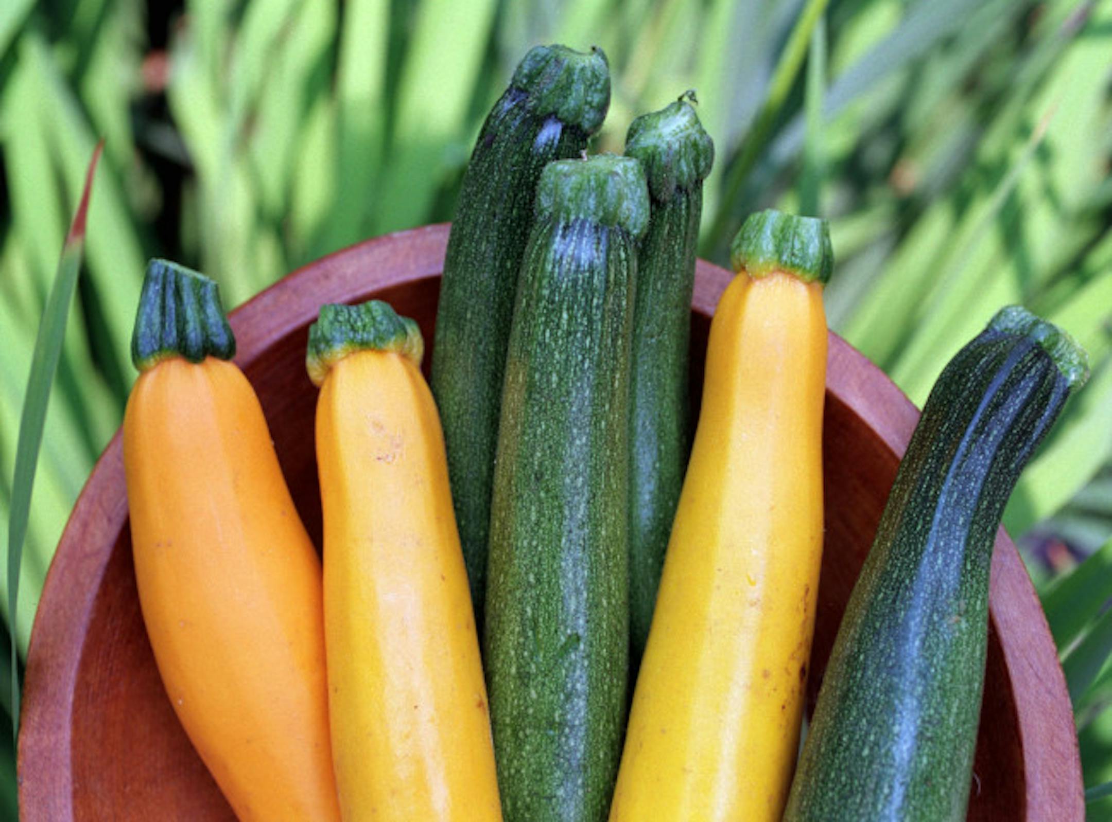 Unless you're growing larger varieties, there's no reason to wait until your zucchini and summer squash get huge to harvest them. In fact, many vegetables are sweeter and more tender when they're small.