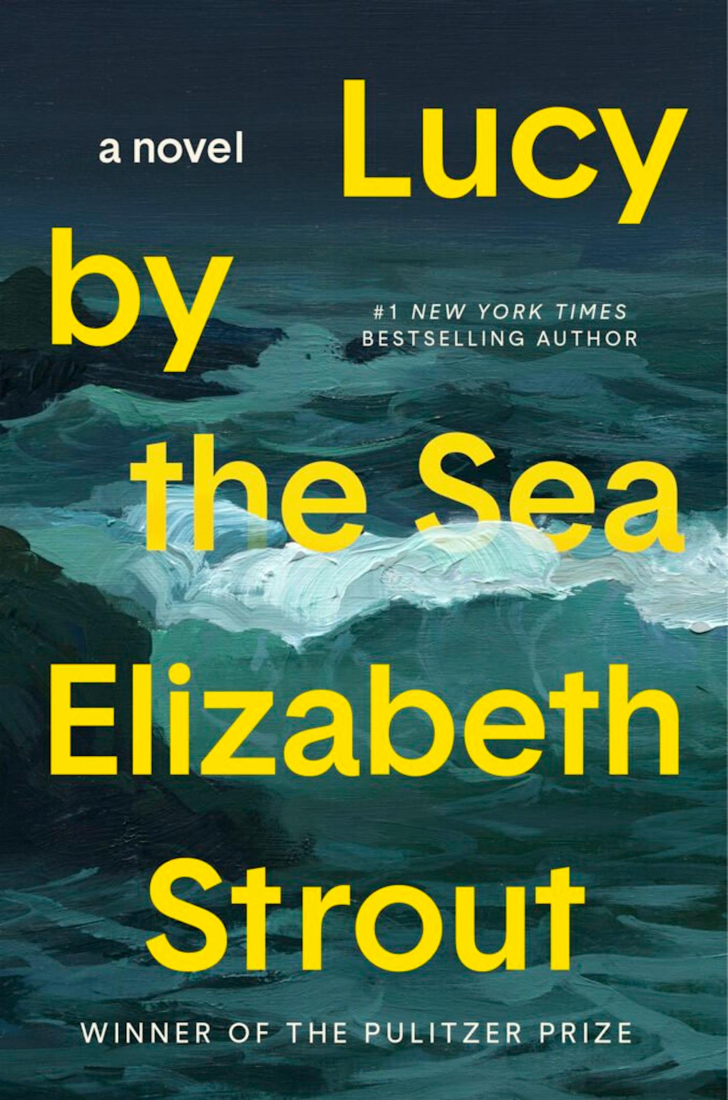 cover of Lucy by the Sea features an illustration of waves