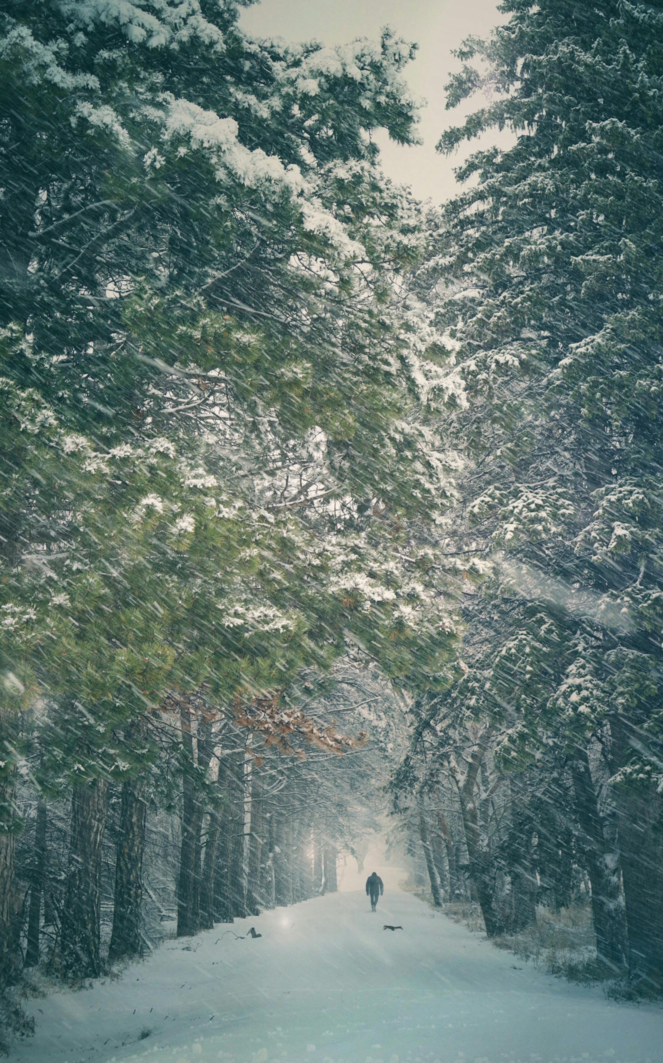 Tamie Steffen Hornstein, Canby, Minn.