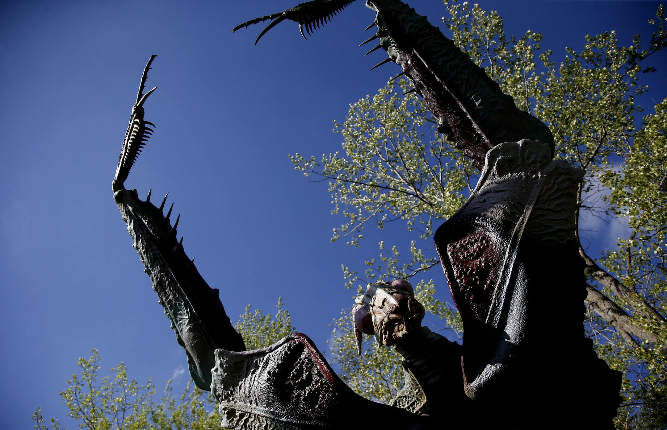 A large animatronic model of a Giant Devil's Flower Mantis at the Minnesota Zoo. ] CARLOS GONZALEZ cgonzalez@startribune.com - May 21, 2014, Apple Valley, Minn., Minnesota Zoo, MN Zoo's big show of the summer, Big Bugs!, which has several added Minnesota-specific buggy elements in addition to the giant animatronic insects.