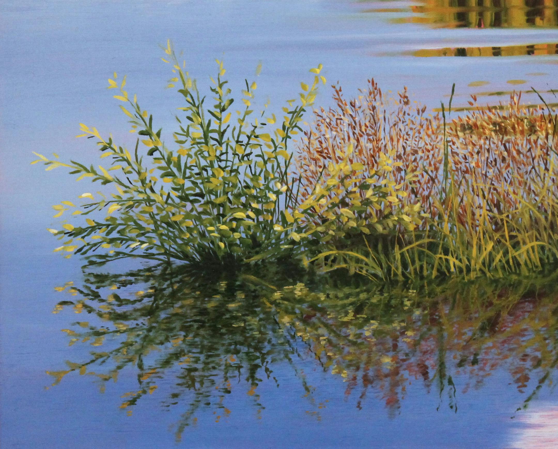 "Lake of the Isles Flood" by Kit Wilson