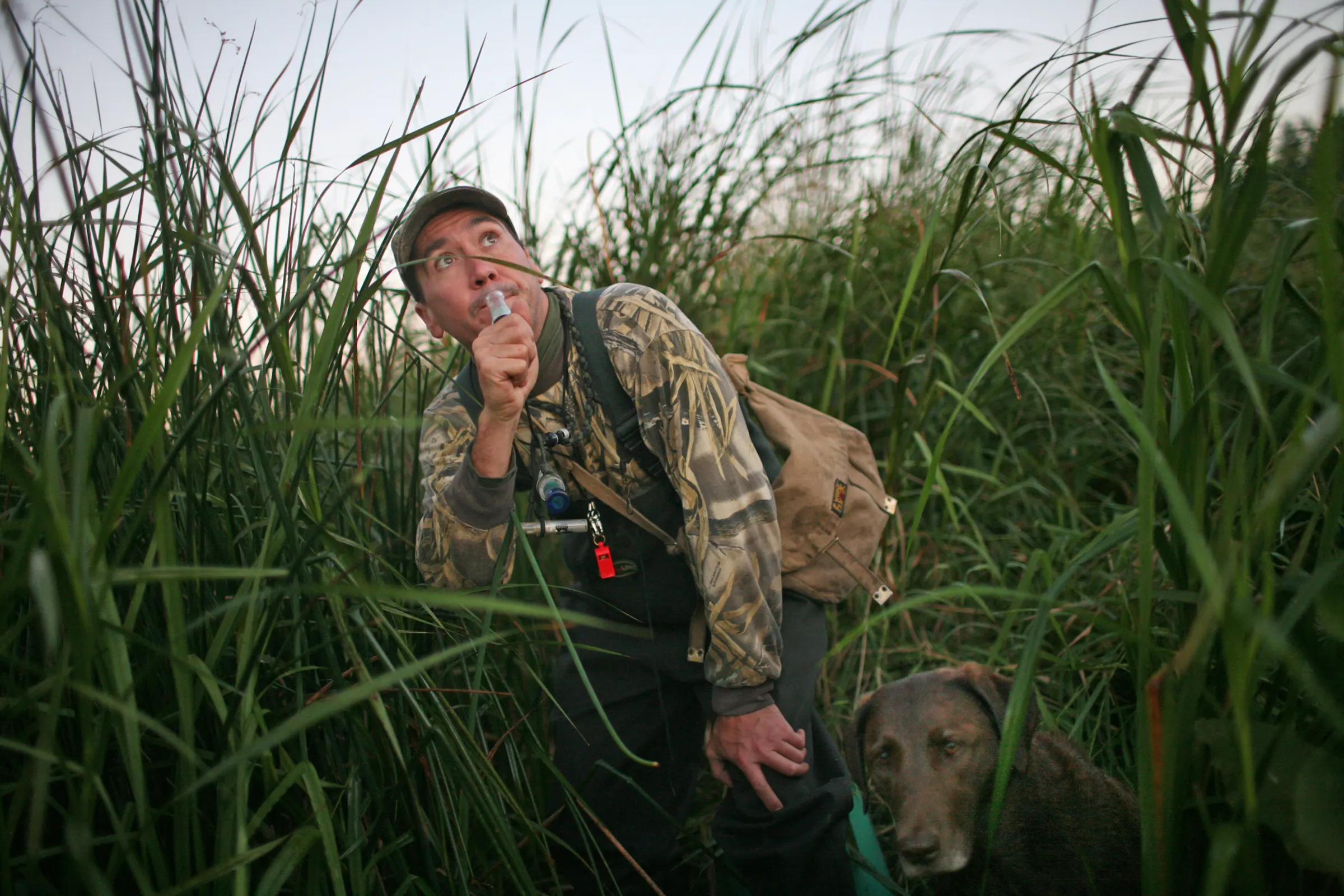 Camp Ripley’s expanded deer hunt is one of the changes ahead for ...