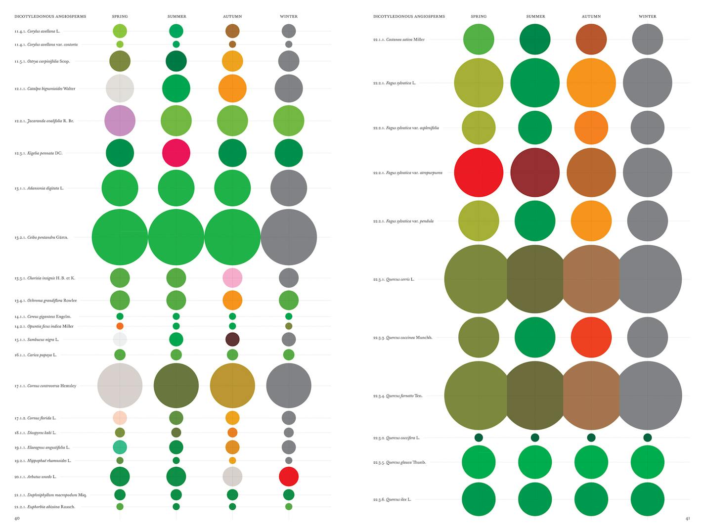 One section of "The Architecture of Trees" is devoted to tree species and varieties and their colors through the seasons.