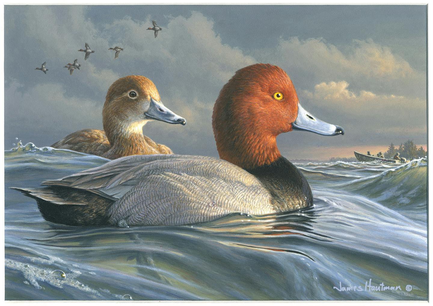 Minnesota s duck stamp dynasty still flying high