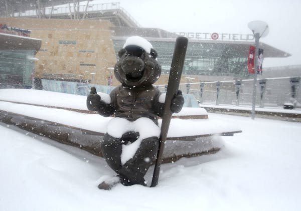 A statue of TC Bear, the Minnesota Twins mascot, is coated in fresh snow on April 3. Another bout of heavy snow is expected this weekend.