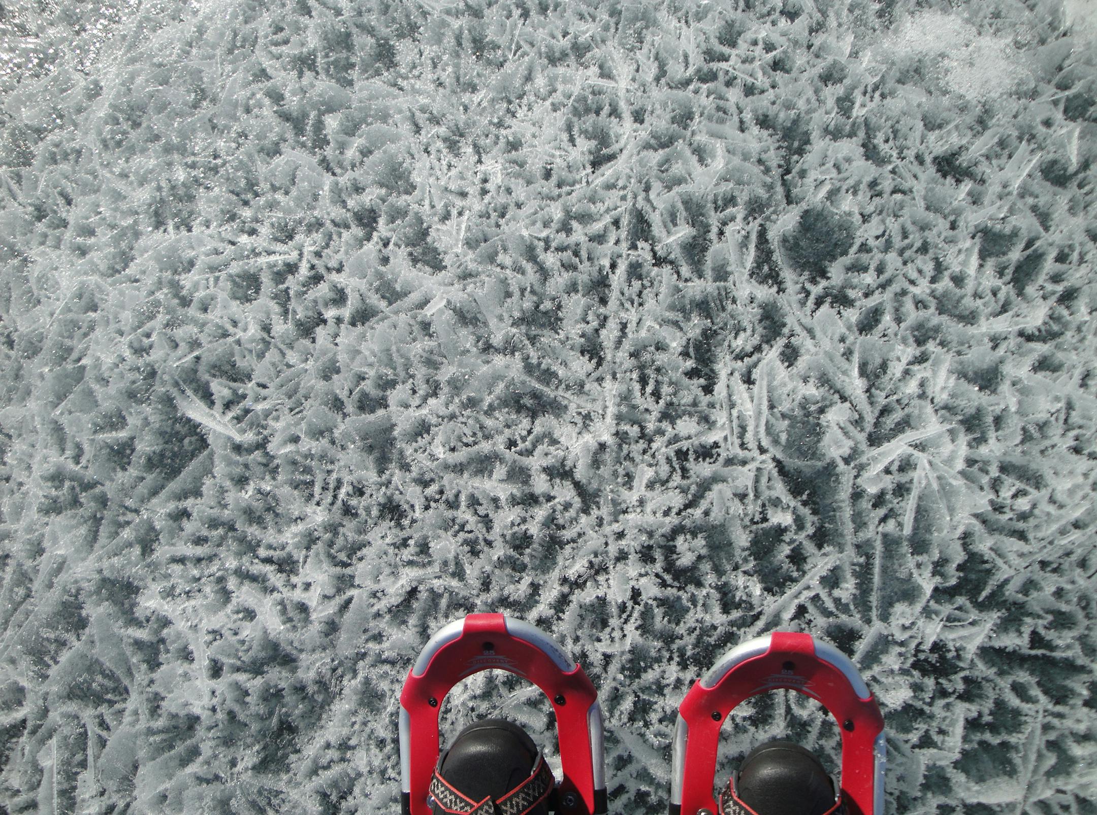 Tricia Young of Minneapolis: "Lake Vermilion is usually covered over with snow, but last year the ice froze with minimal snow cover--not the best for snowshoeing, but it makes for beautiful patterns in the ice." [focus012217
