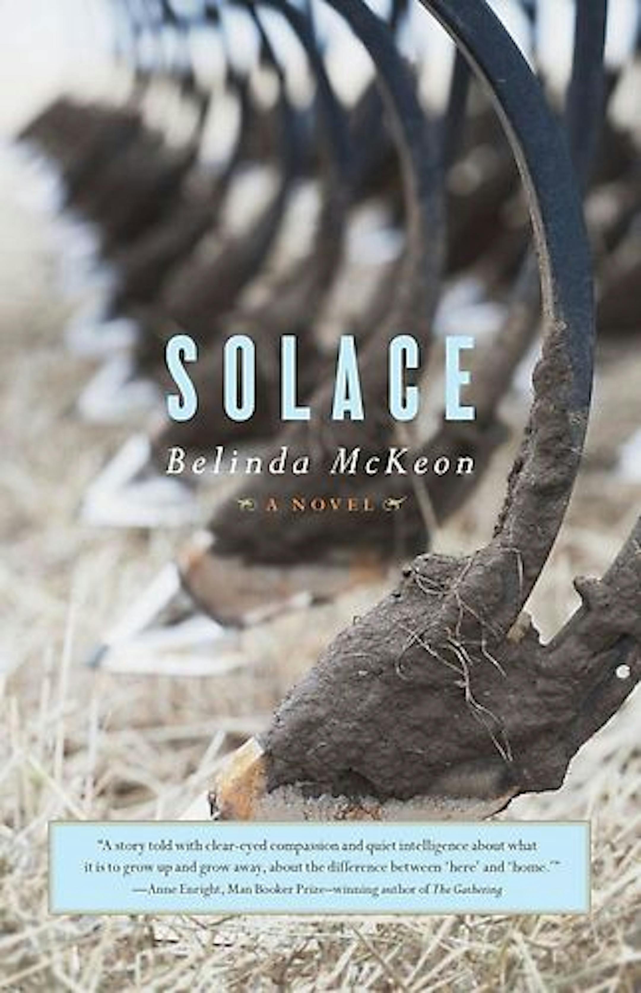 SOLACE By: Belinda McKeon. Publisher: Scribner, 326 pages, $24.