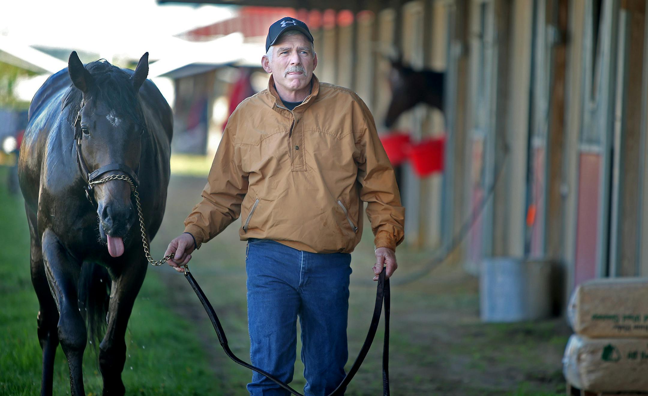 Racing horse trainer Steve Kane walked his horse "Supremos Rebel," after a practice run Thursday, May 22, 2014 at Canterbury Park in Shakopee, MN. Kane, from Cologne, MN, has been a Canterbury regular for more than 20 years. He has eight horses and is also a horseshoer. ] (ELIZABETH FLORES/STAR TRIBUNE) ELIZABETH FLORES • eflores@startribune.com ORG XMIT: MIN1405271132570052